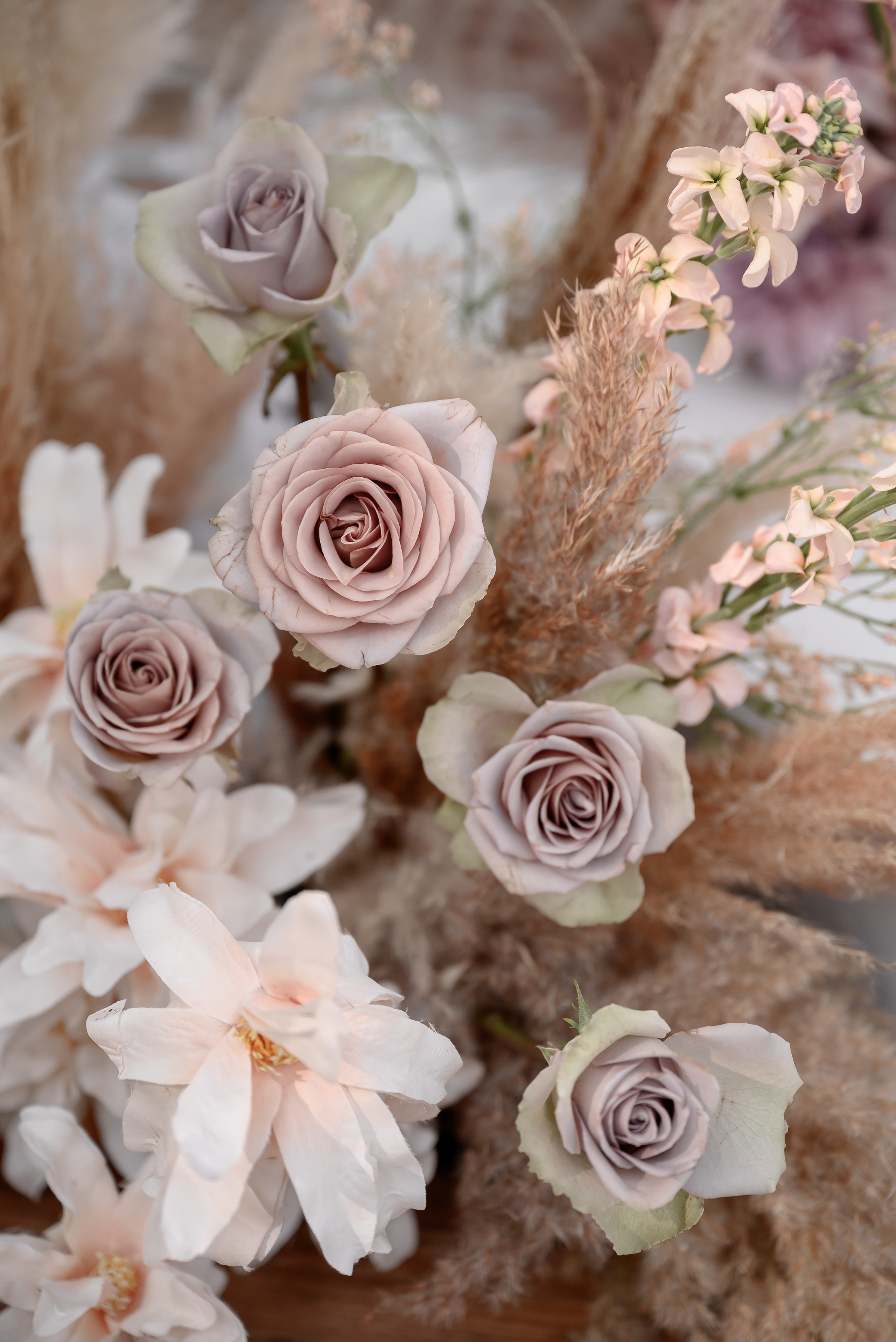 Руслан и Елена. Свадебный организатор в Ростове-на-Дону Яснов Роман