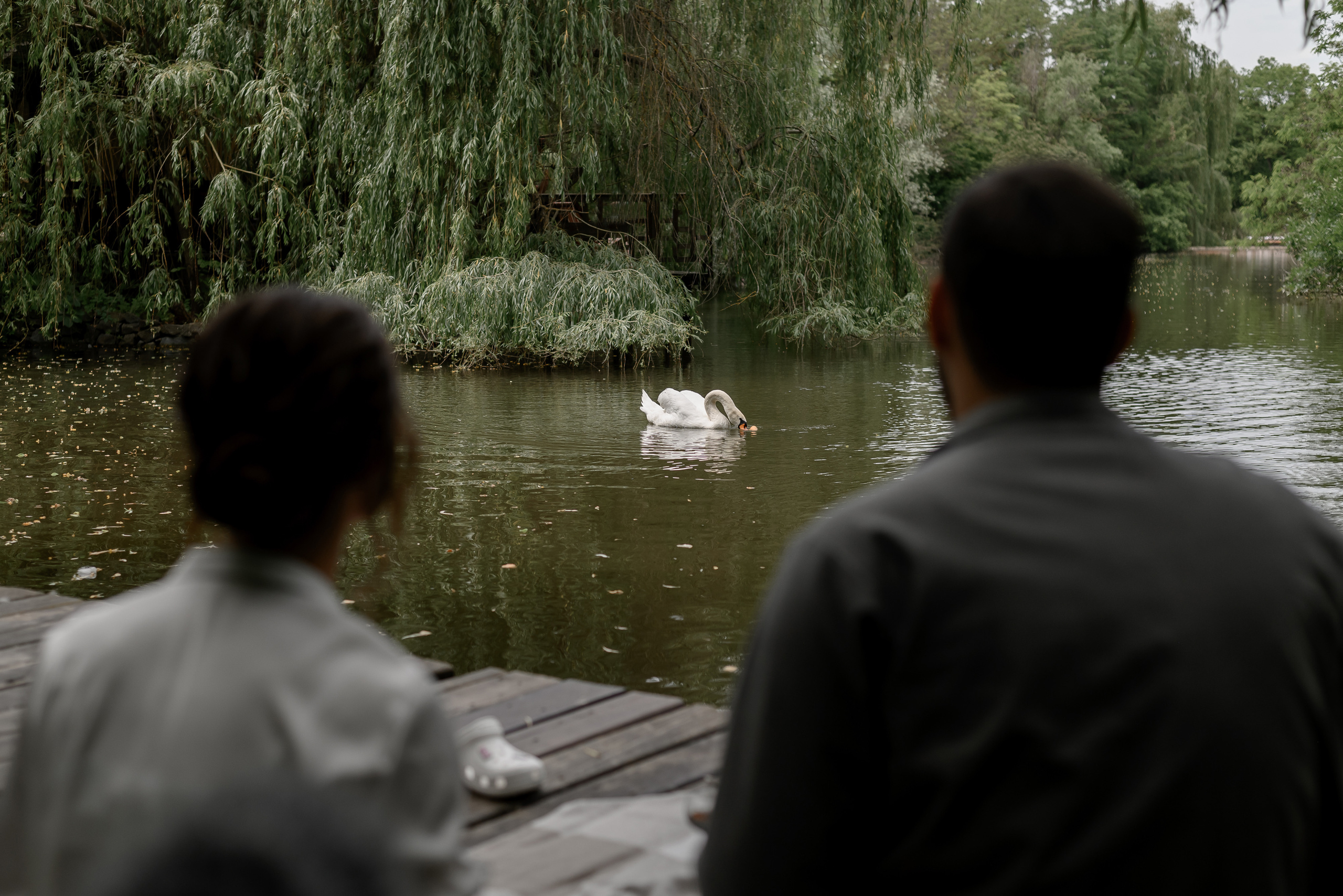 Руслан и Елена. Свадебный организатор в Ростове-на-Дону Яснов Роман