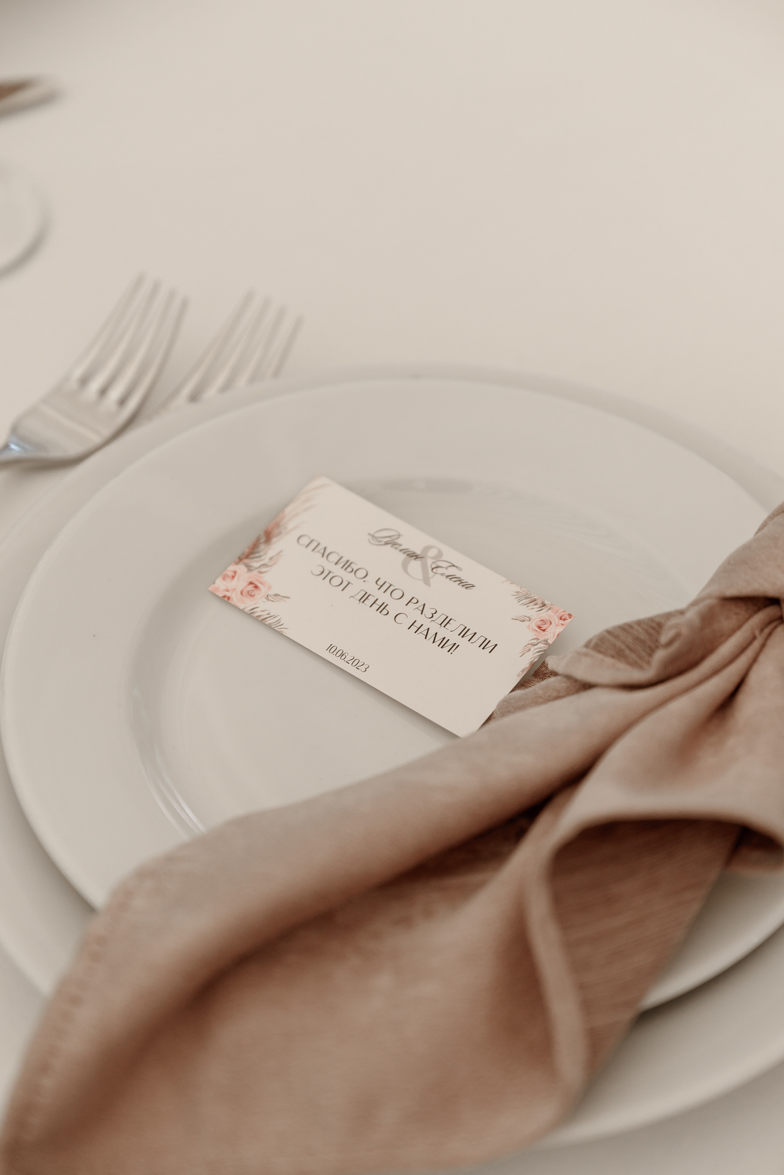 Руслан и Елена. Свадебный организатор в Ростове-на-Дону Яснов Роман