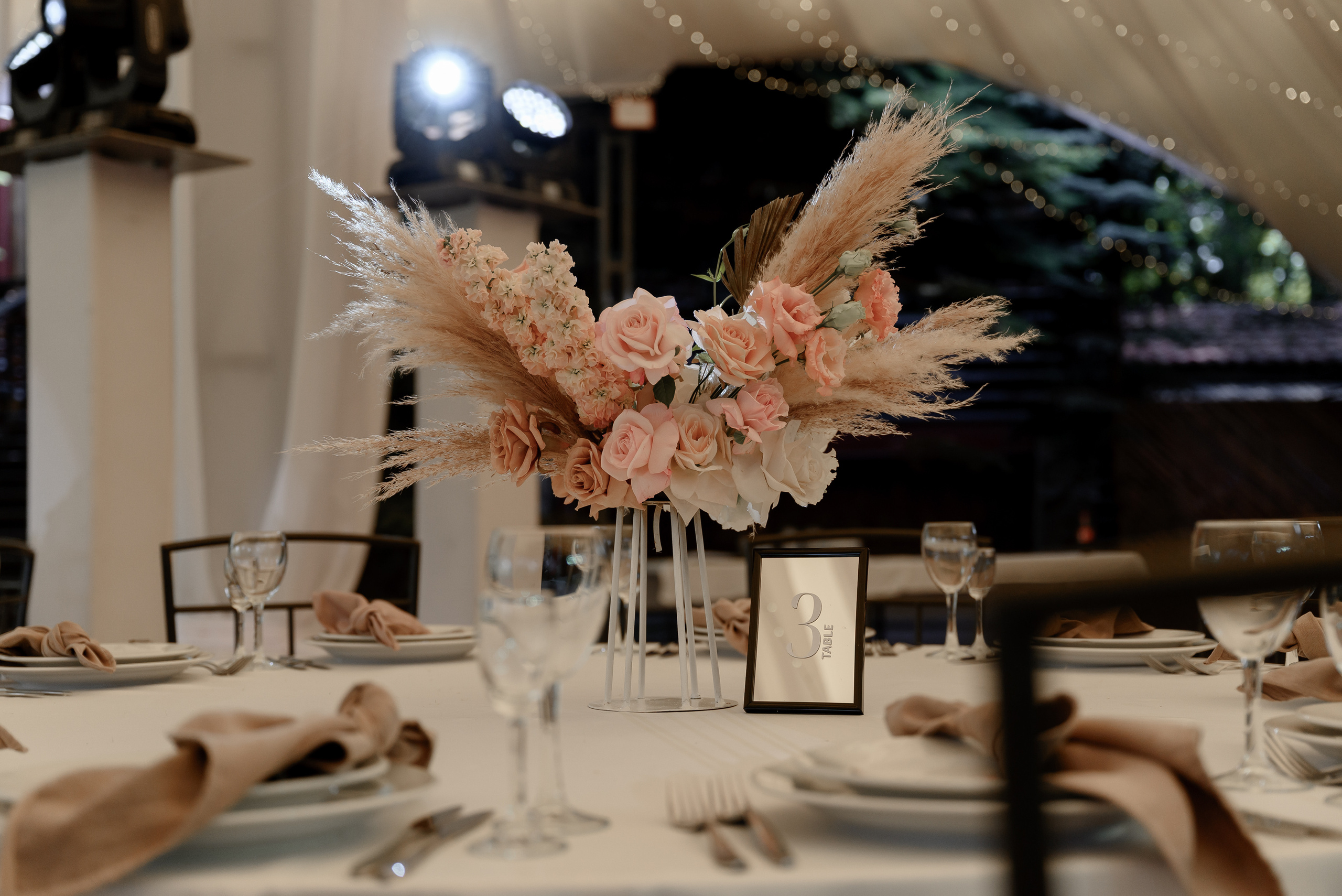 Руслан и Елена. Свадебный организатор в Ростове-на-Дону Яснов Роман