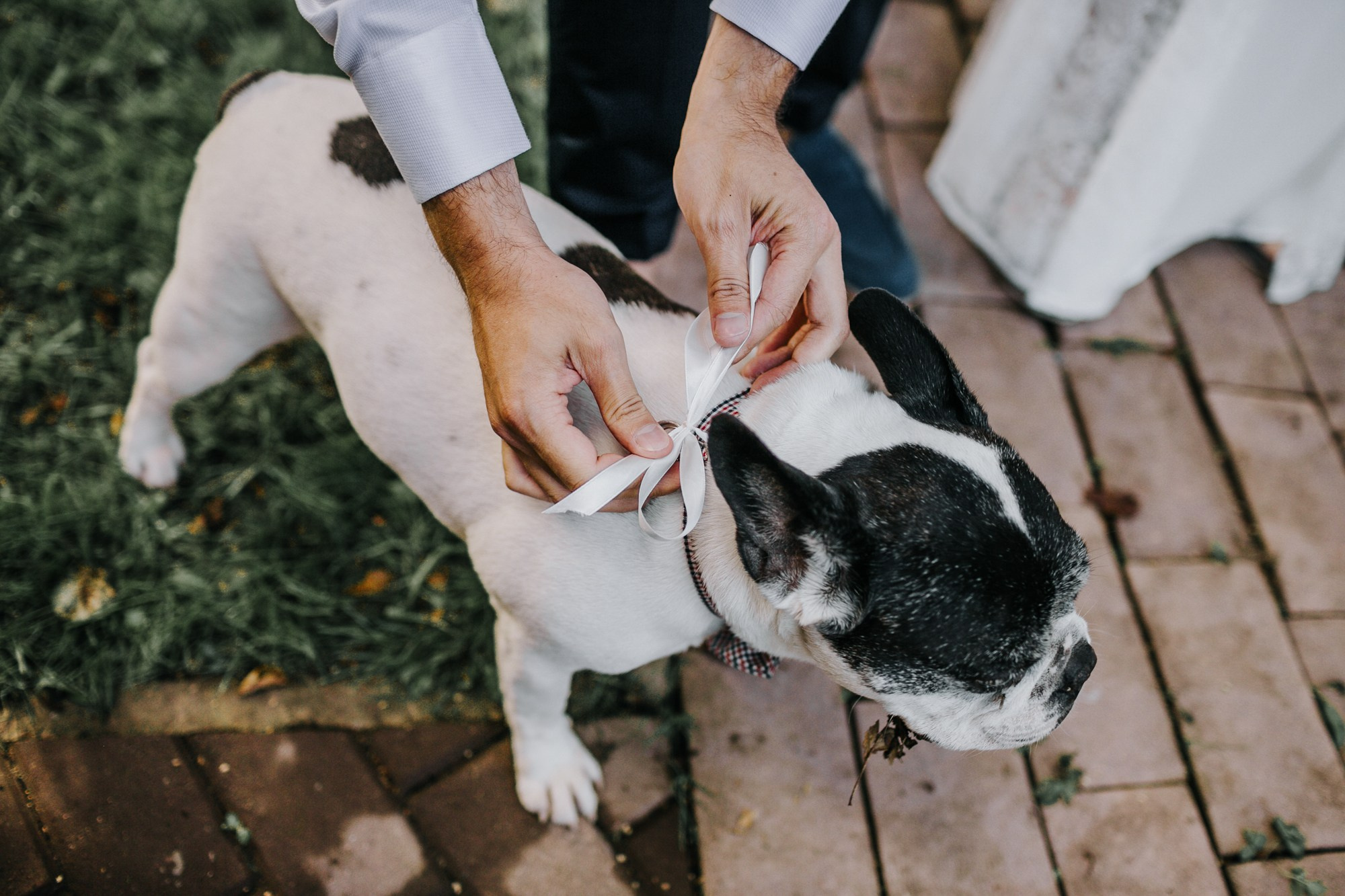 Роман & Евгения. Свадебный фотограф в Москве — Павел Воронцов