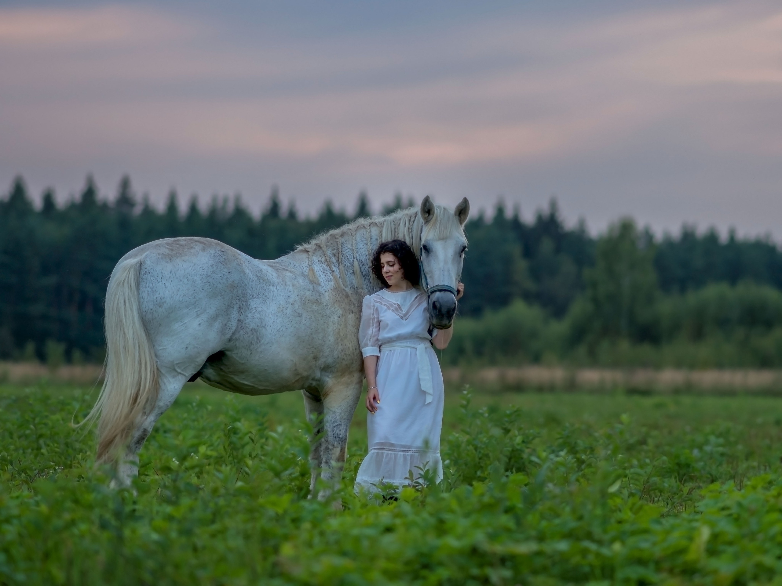Конная фото прогулка Троицк москва