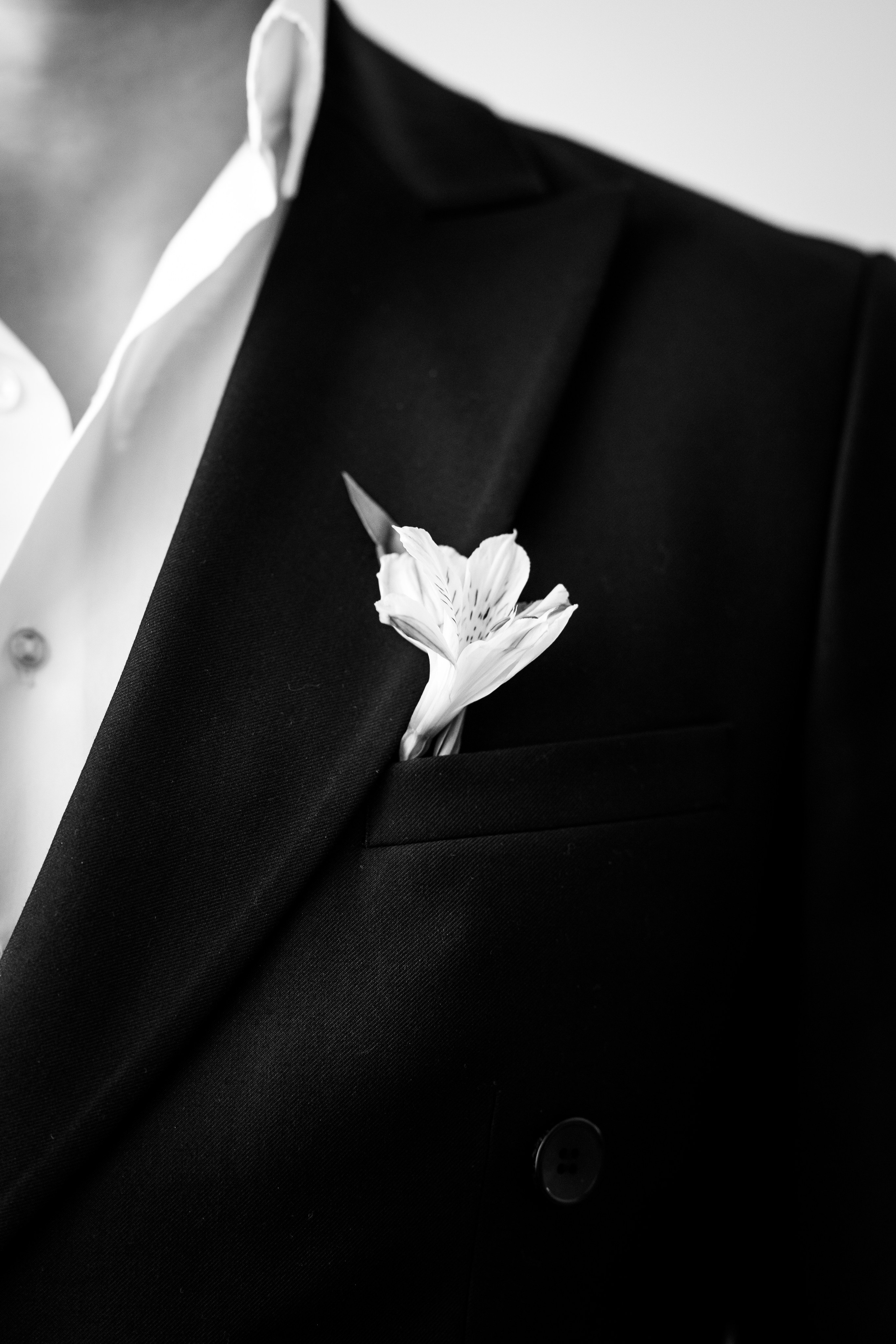 Мои работы. Фотограф в Санкт-Петербурге Джавангир Сурхаев