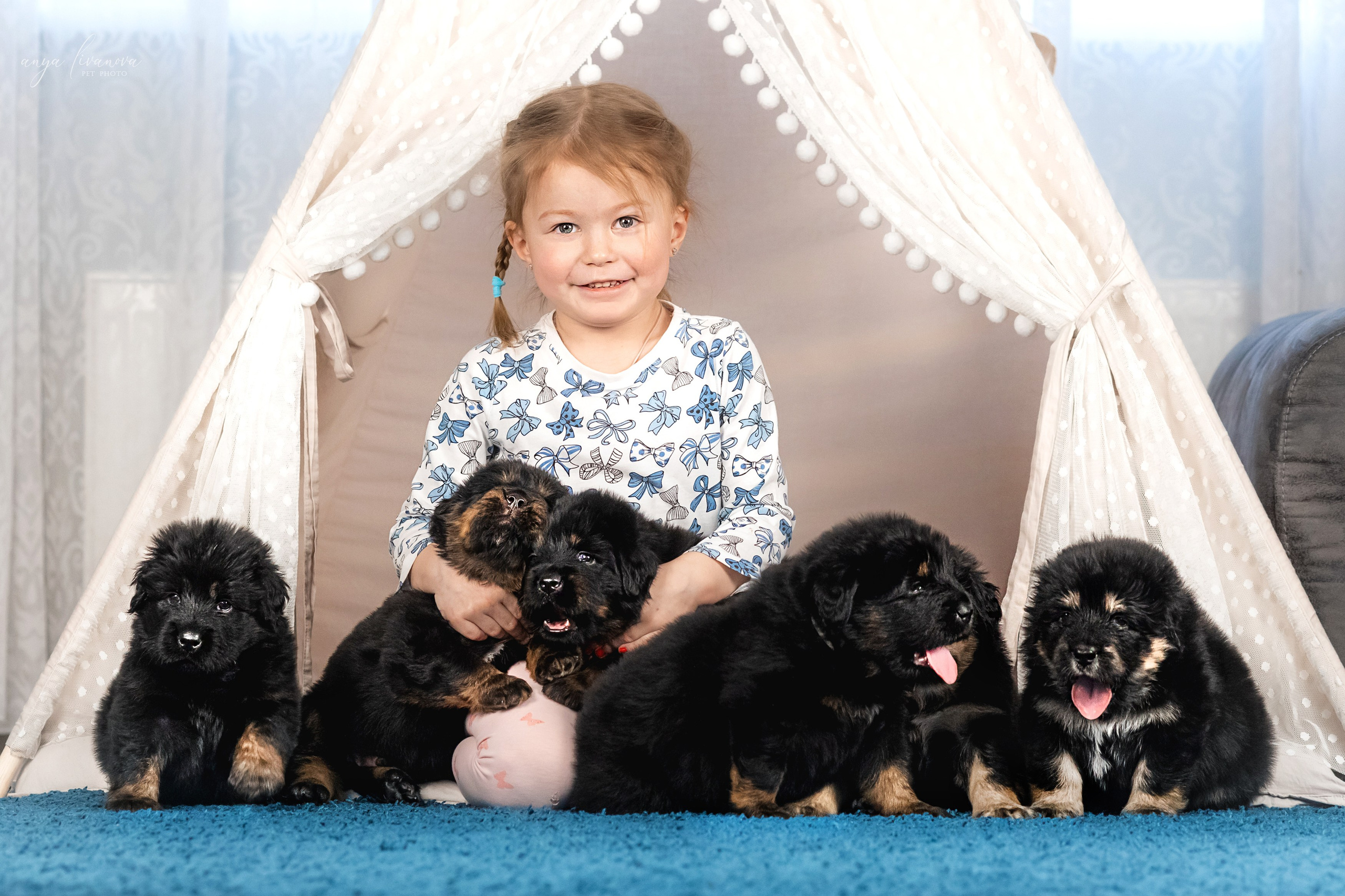 Тибеты. Фотограф анималист Аня Ливанова | Рыбинск