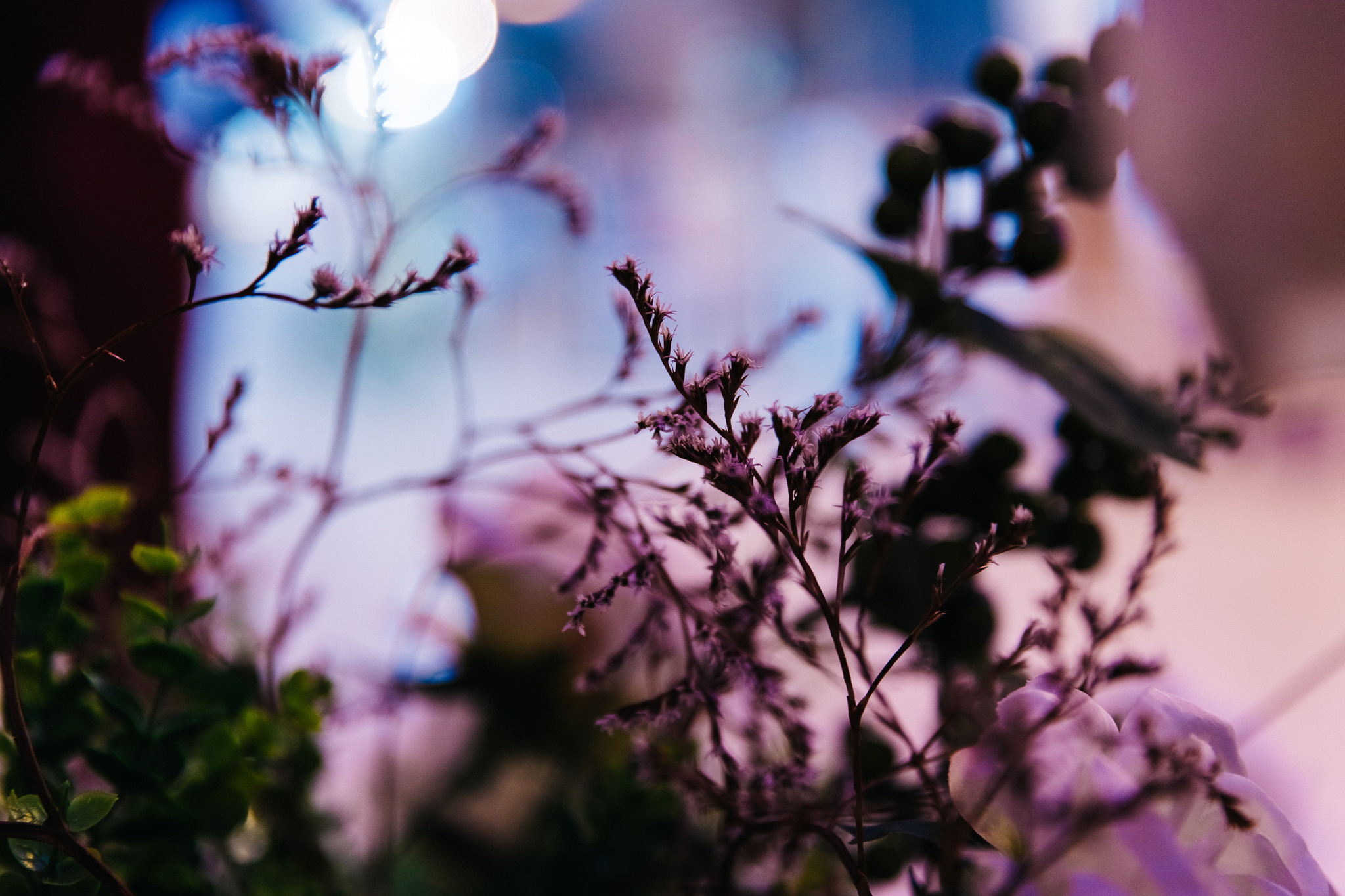 Екатерина & Виктор in «Romanoff». Свадебный и семейный фотограф в Краснодаре