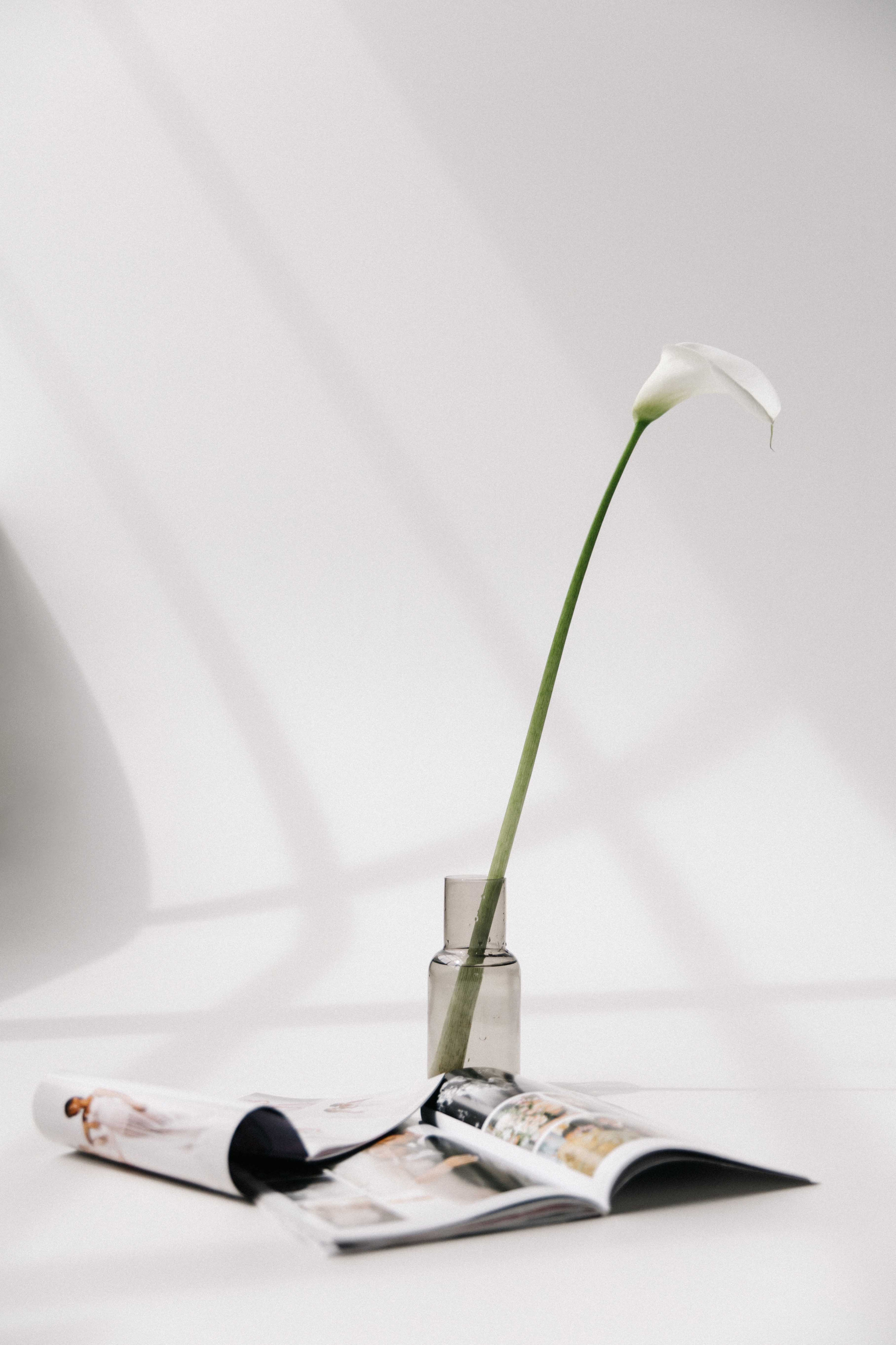 Контент съёмка для свадебного организатора. Свадебный и семейный фотограф в Краснодаре