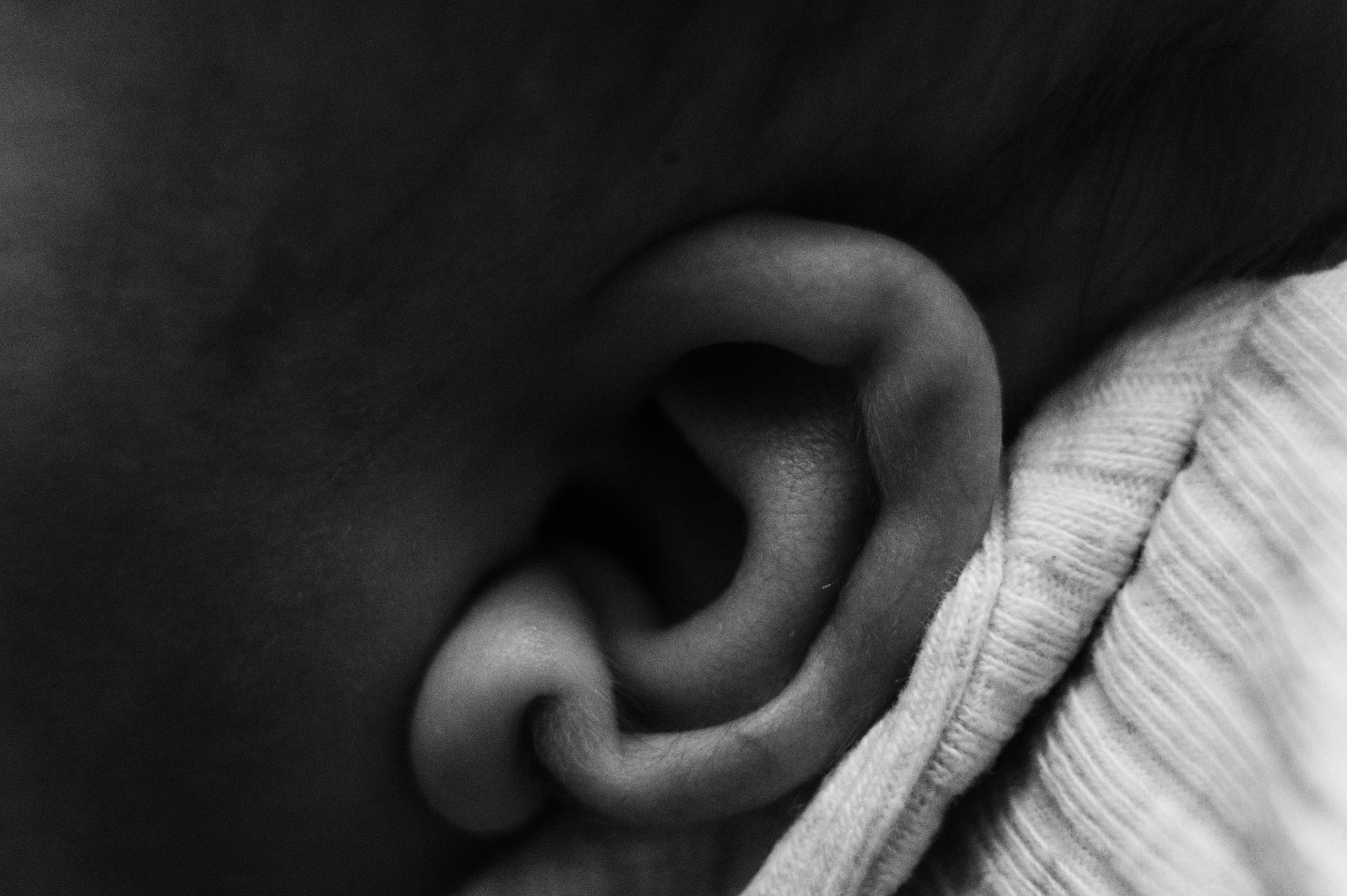 Иван, Ксения и Лев. Фотограф беременности и семьи, домашние съемки, Ньюборн