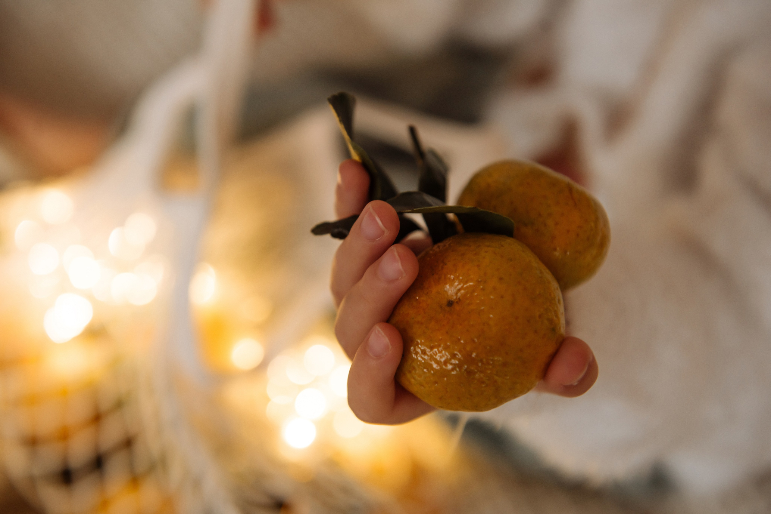 New Year Логиновы. Свадебный, портретный, фотограф беременности в Нижнем Новгороде Алина Зиновьева