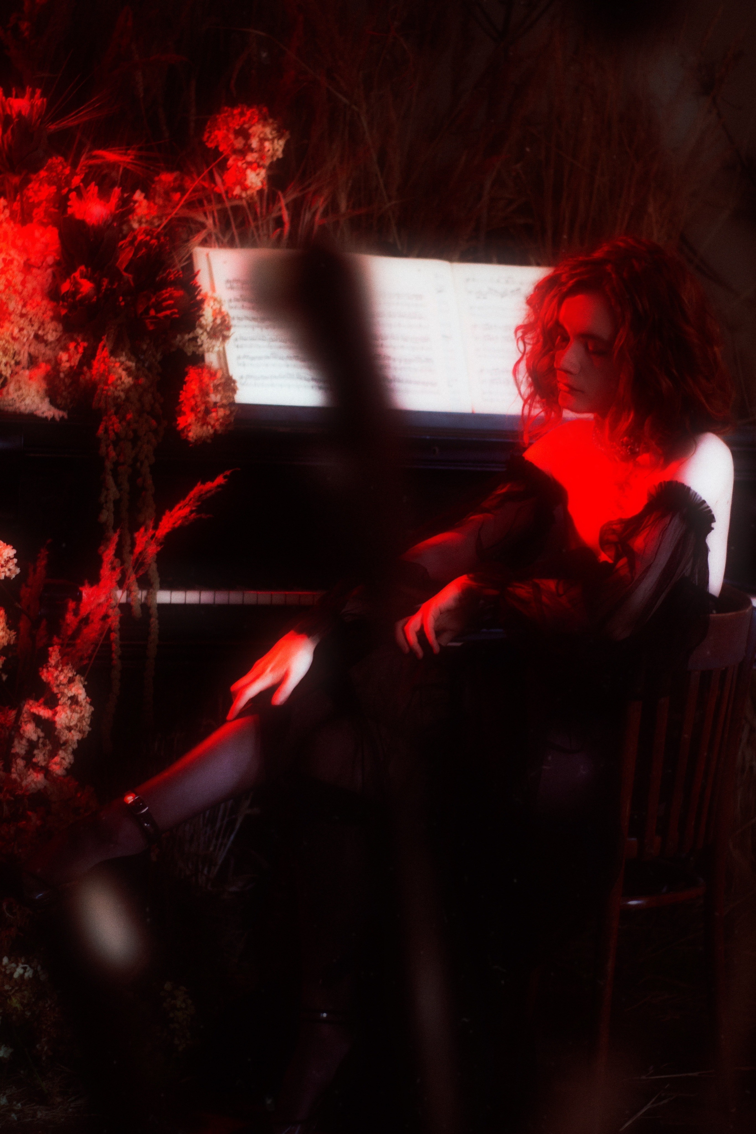 Noblesse vampire (Original), Санкт-Петербург 2024. Фотограф NotSilver