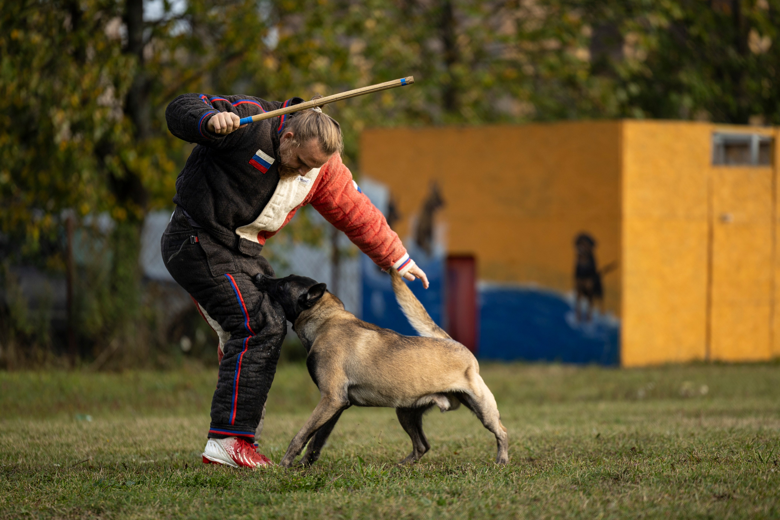 Испытания по Мондьорингу г. Пушкин. Фотограф-анималист Анна Маринич