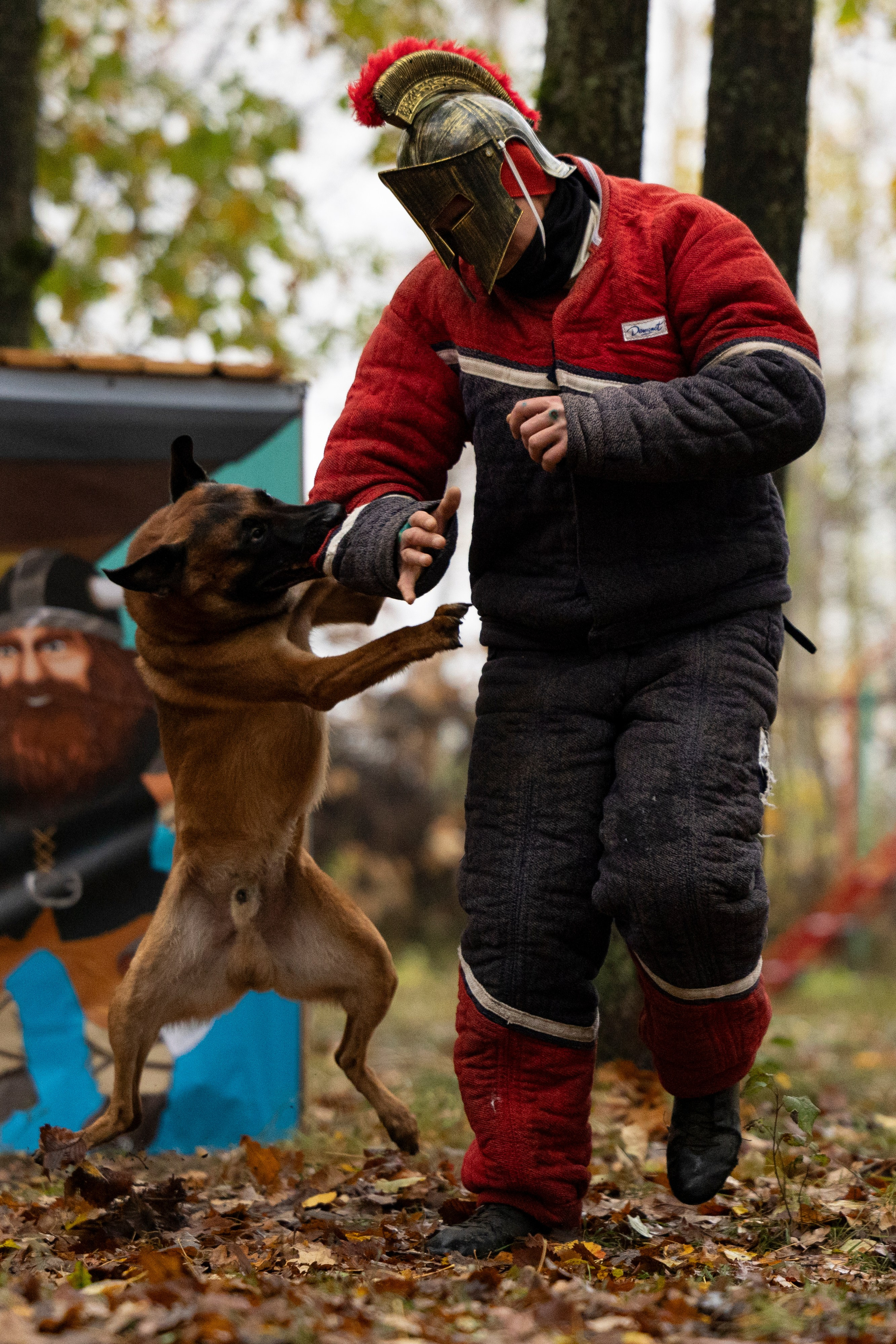 Соревнования по Мондьорингу г. Вологда. Фотограф-анималист Анна Маринич