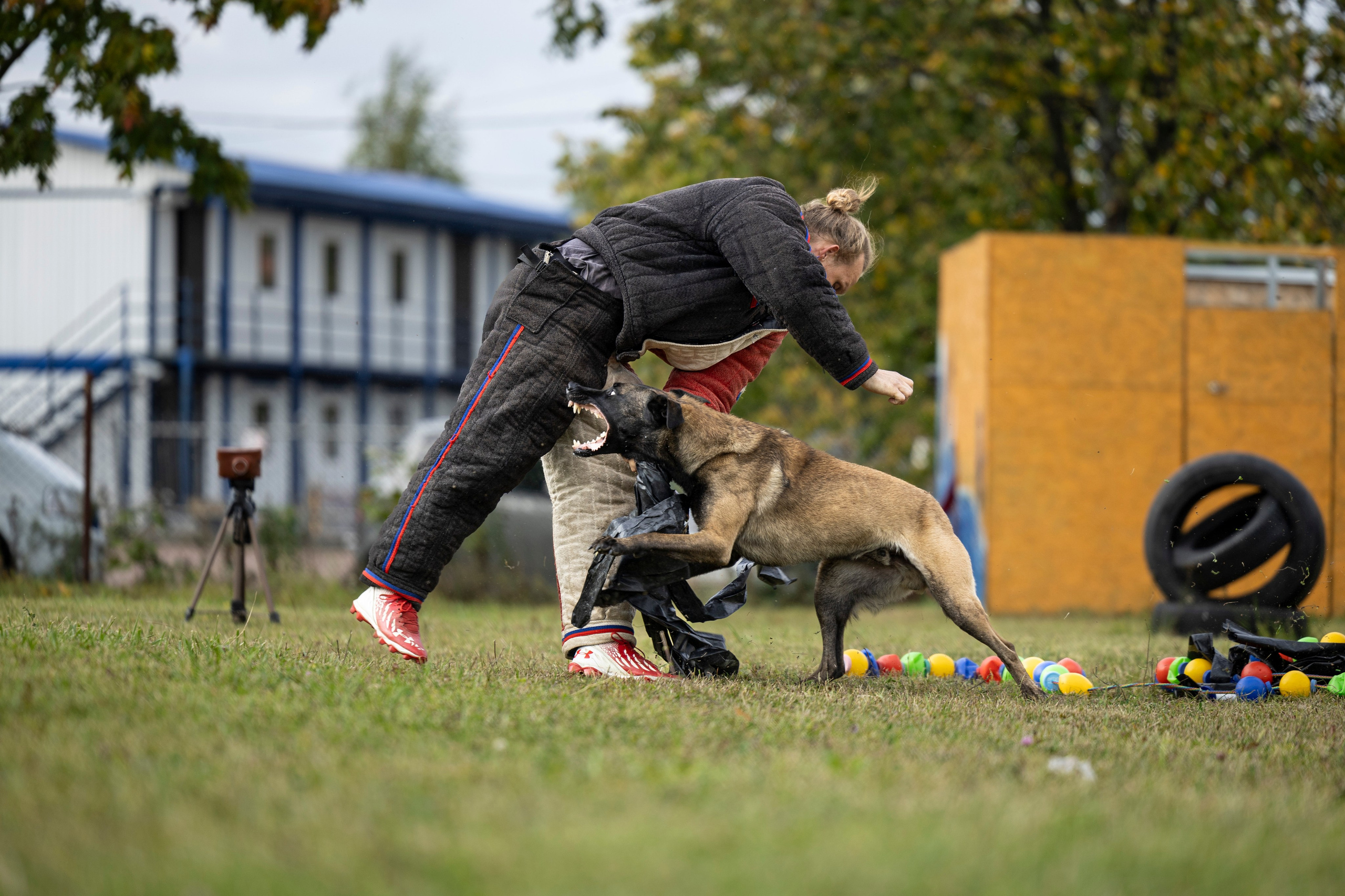 Испытания по Мондьорингу г. Пушкин. Фотограф-анималист Анна Маринич