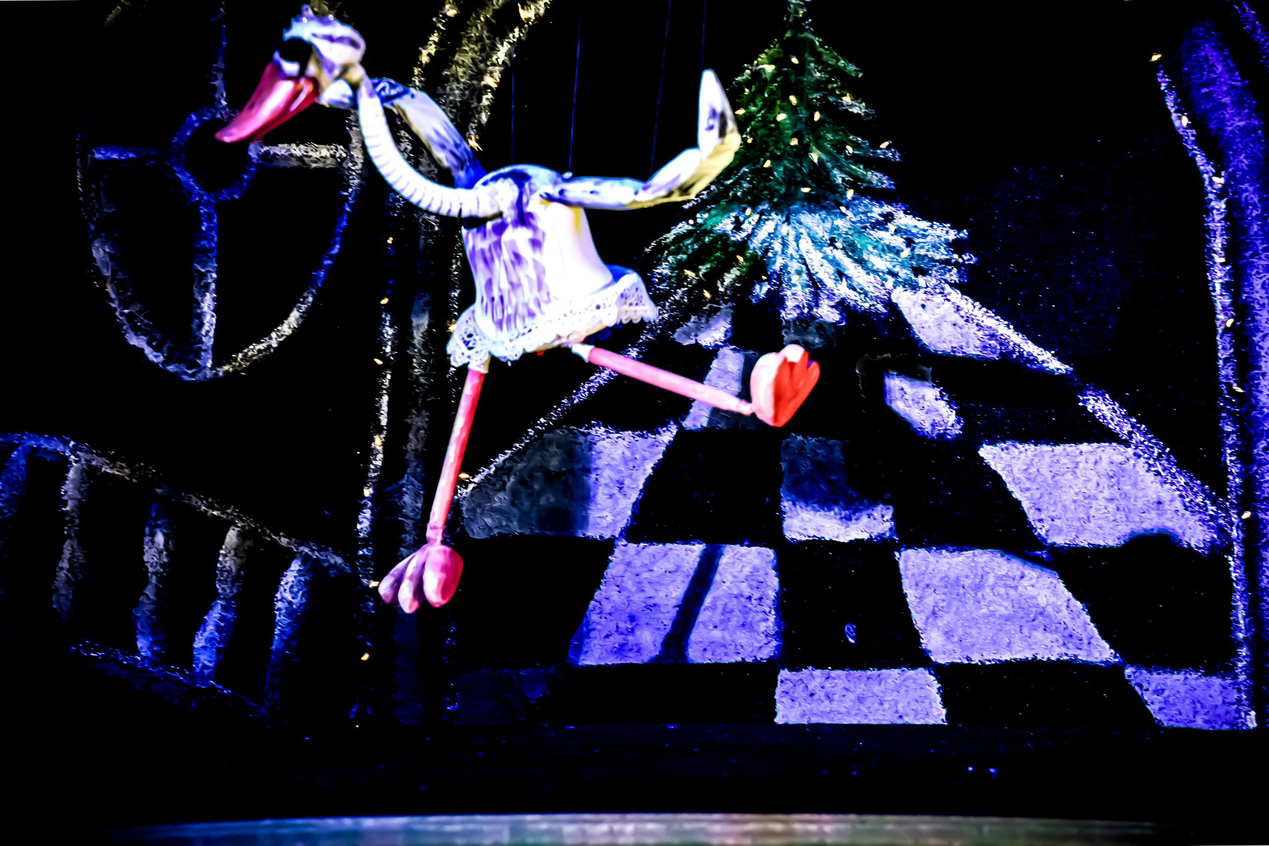 Щелкунчик и мышынный король. Фотограф в Сочи Юрий Шептаев