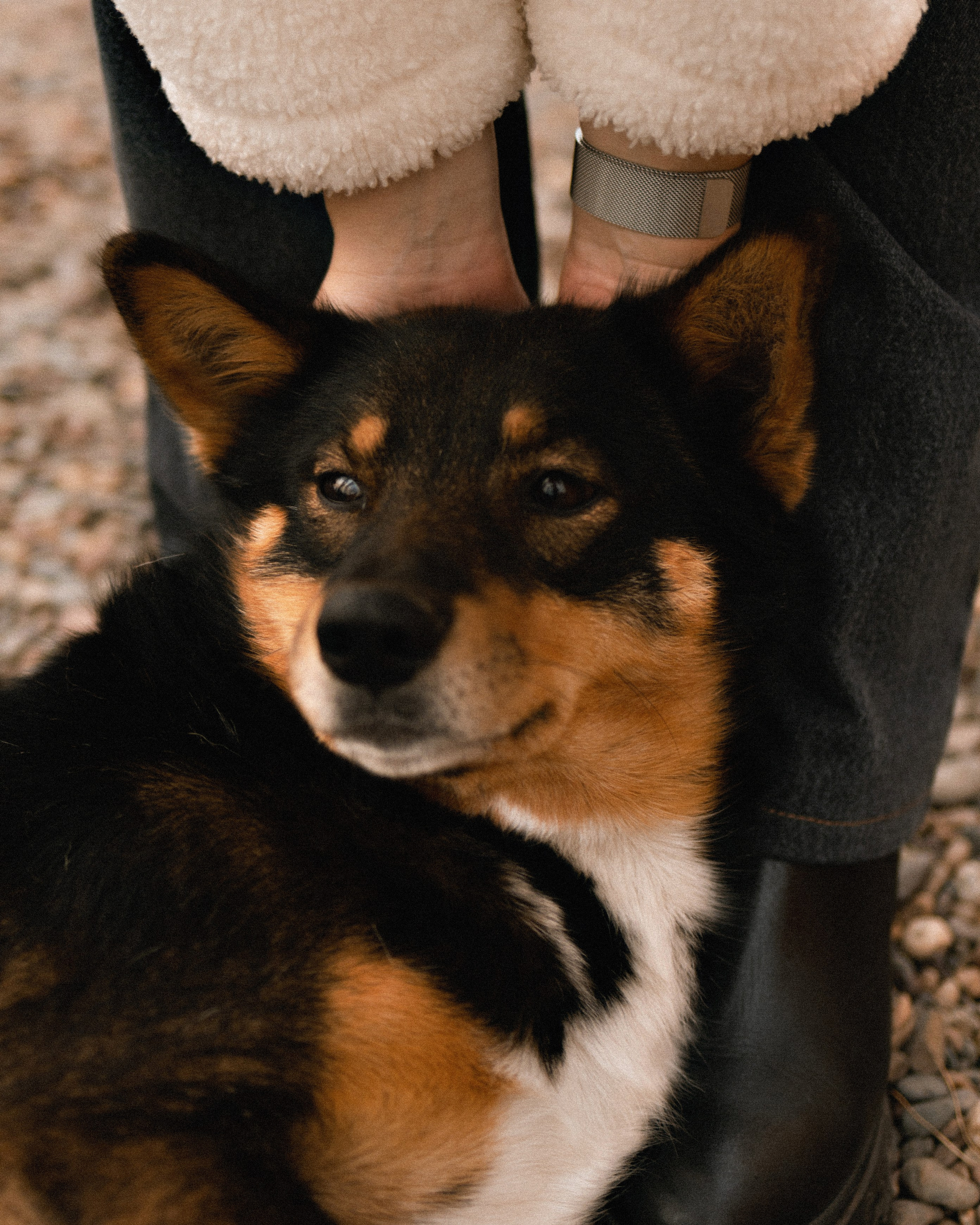 Софья. Фотограф в Красноярске Ксения Дмитрик