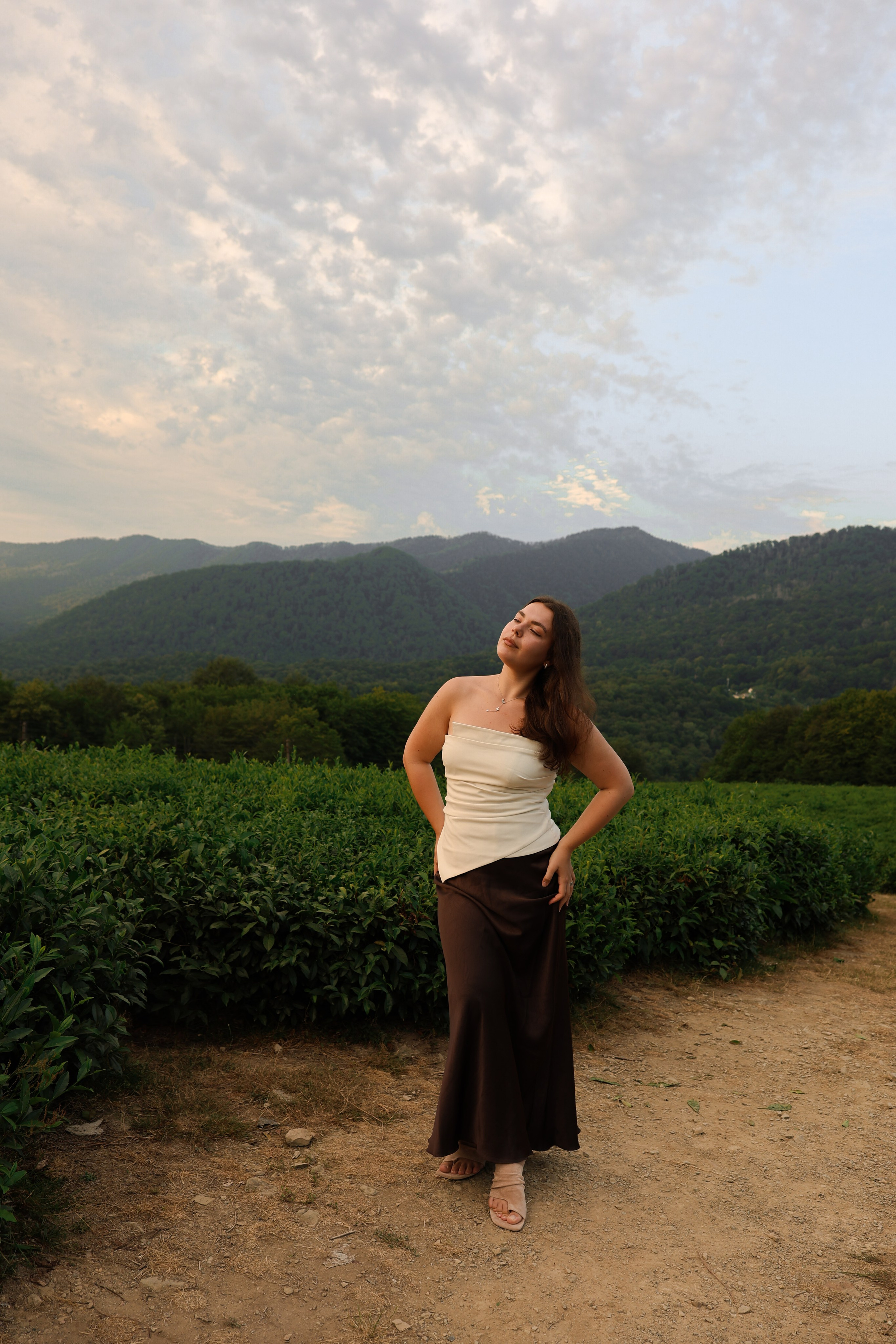 ЧАЙНЫЕ ПЛАНТАЦИИ. Фотограф Москва Оля Олбимак