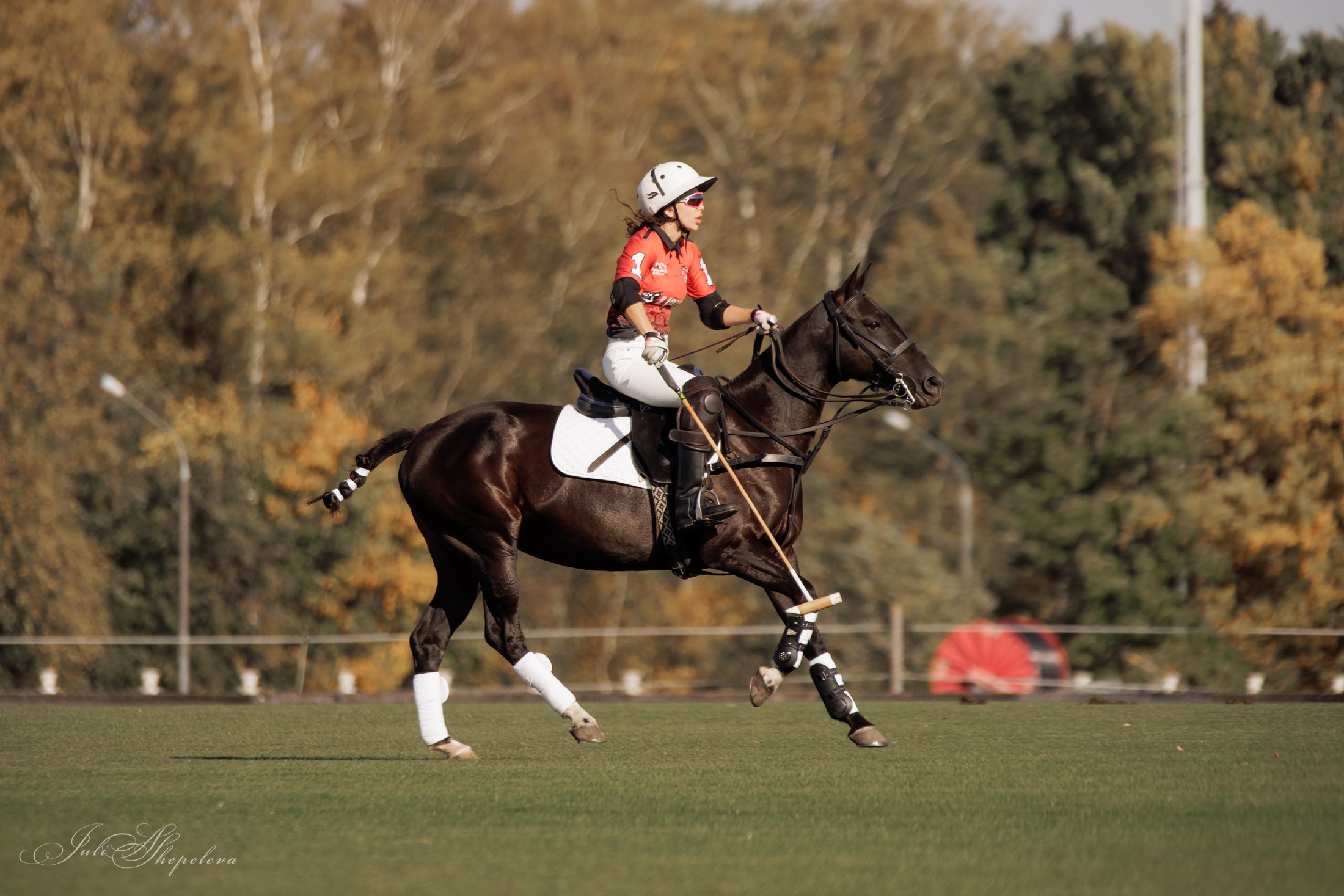 Осенний кубок по конному поло. Детская Конная фотография в Москве Юлия Шепелева