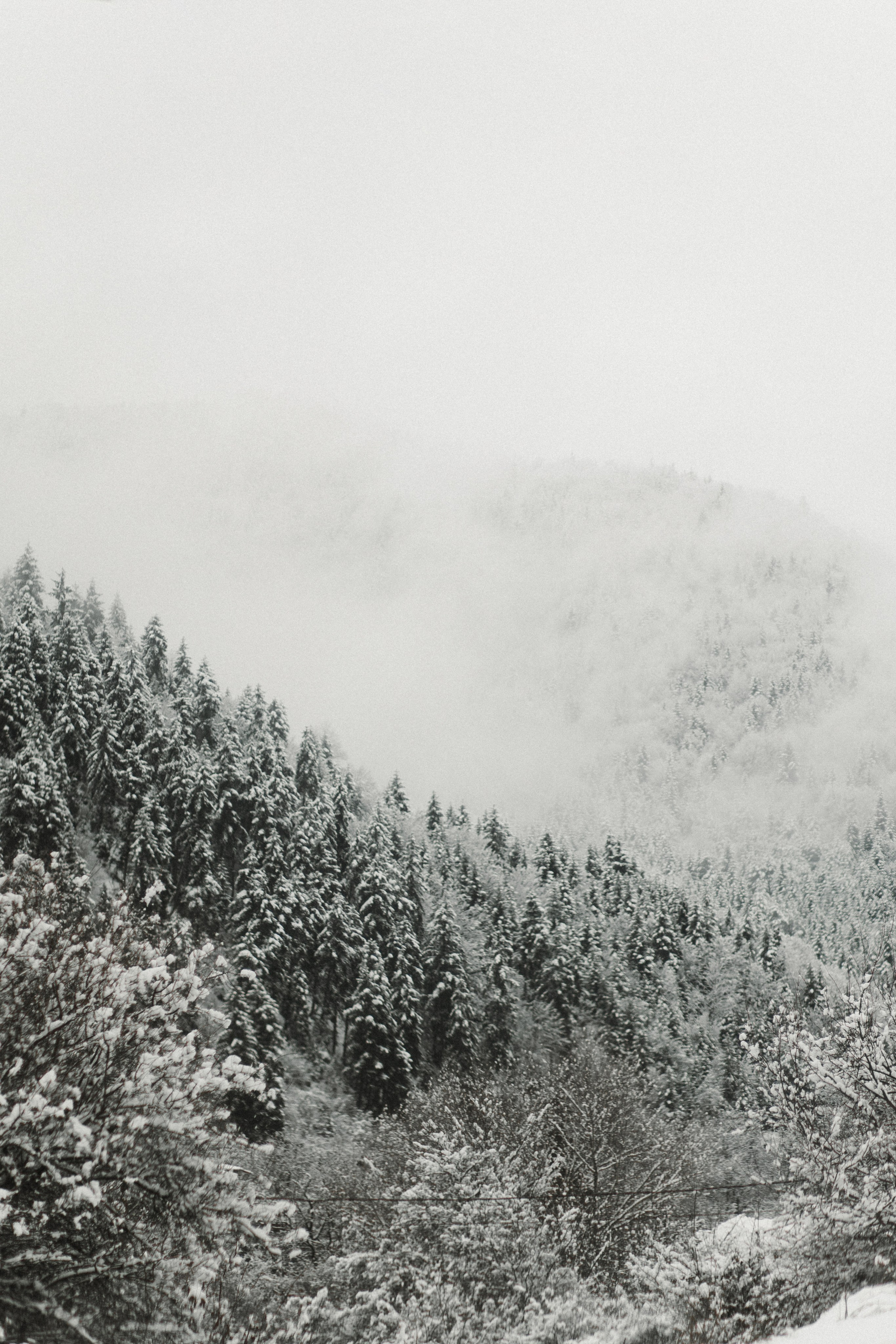 Winter in Bakuriani. Anastasia Blud Photography