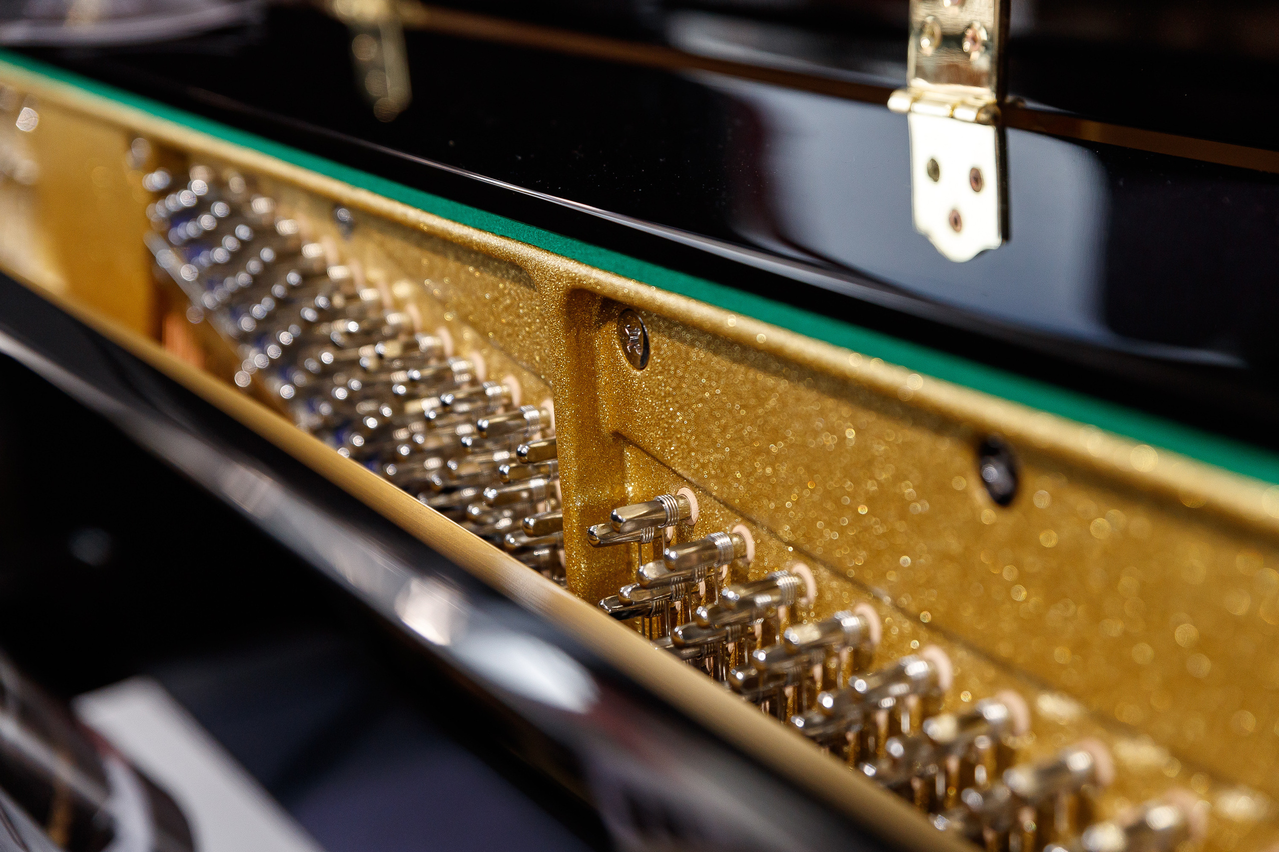 צילום אירועים. יבגני פלבין. צלם. תעשייה, דיווחים, חתונות, פורטרט