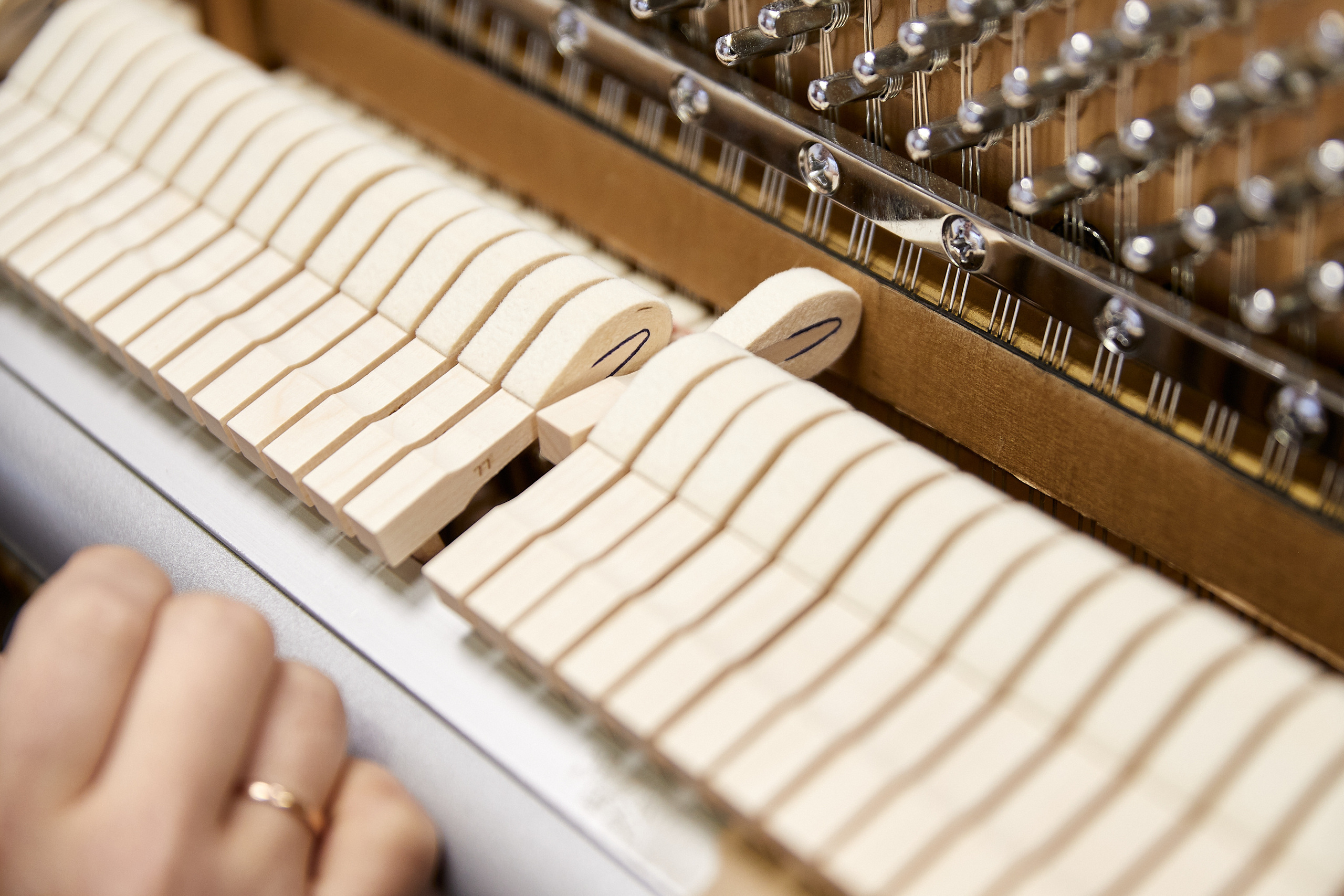 Industrial photography. Evgeny Pelevin. Photographer. Industry, reporting, weddings, portrait