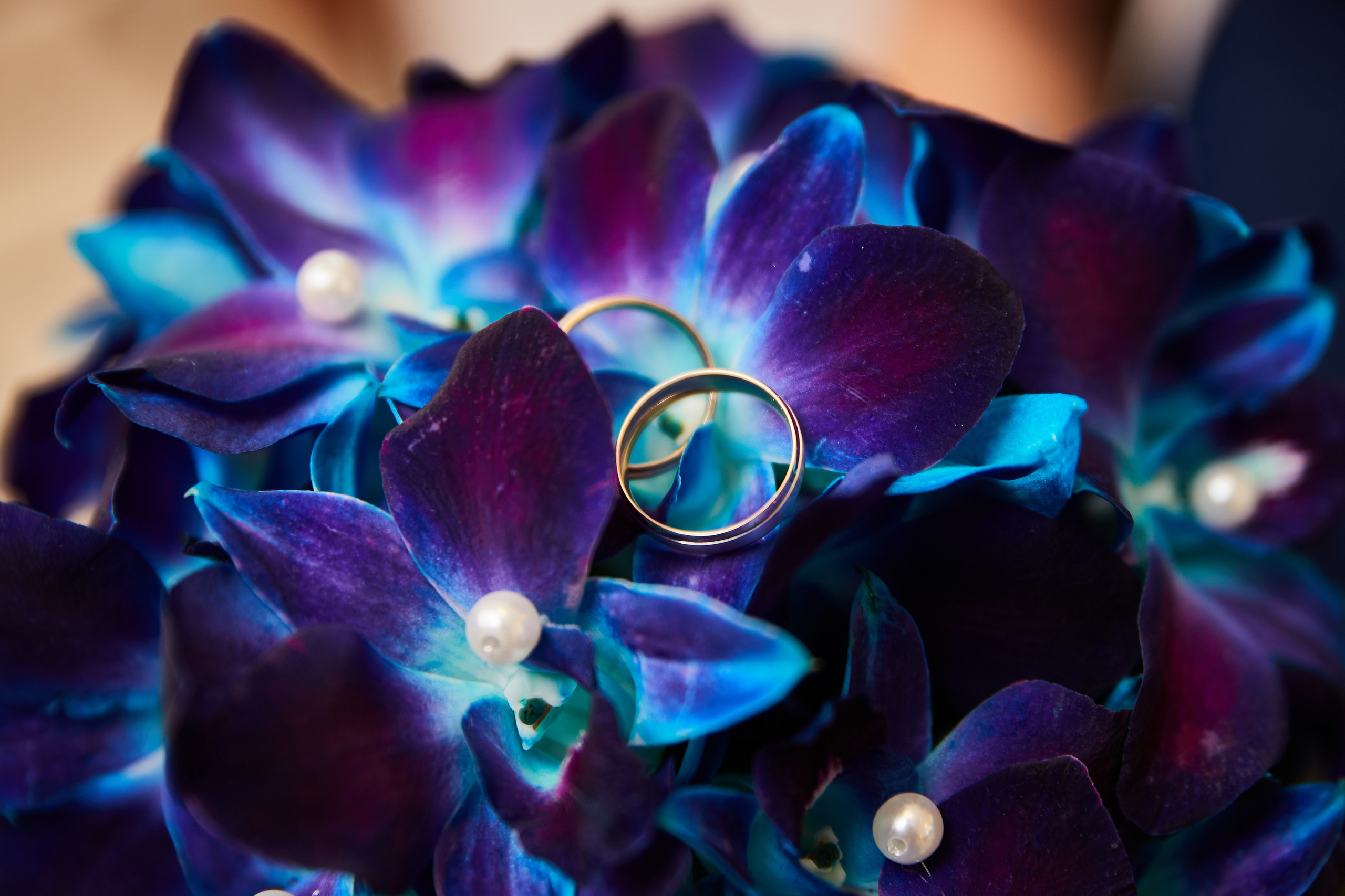 חתונה ומשפחה. יבגני פלבין. צלם. תעשייה, דיווחים, חתונות, פורטרט