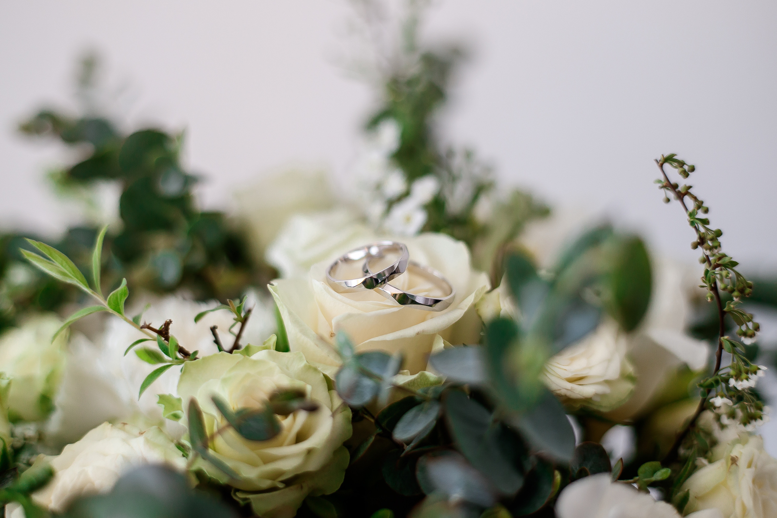 חתונה ומשפחה. יבגני פלבין. צלם. תעשייה, דיווחים, חתונות, פורטרט