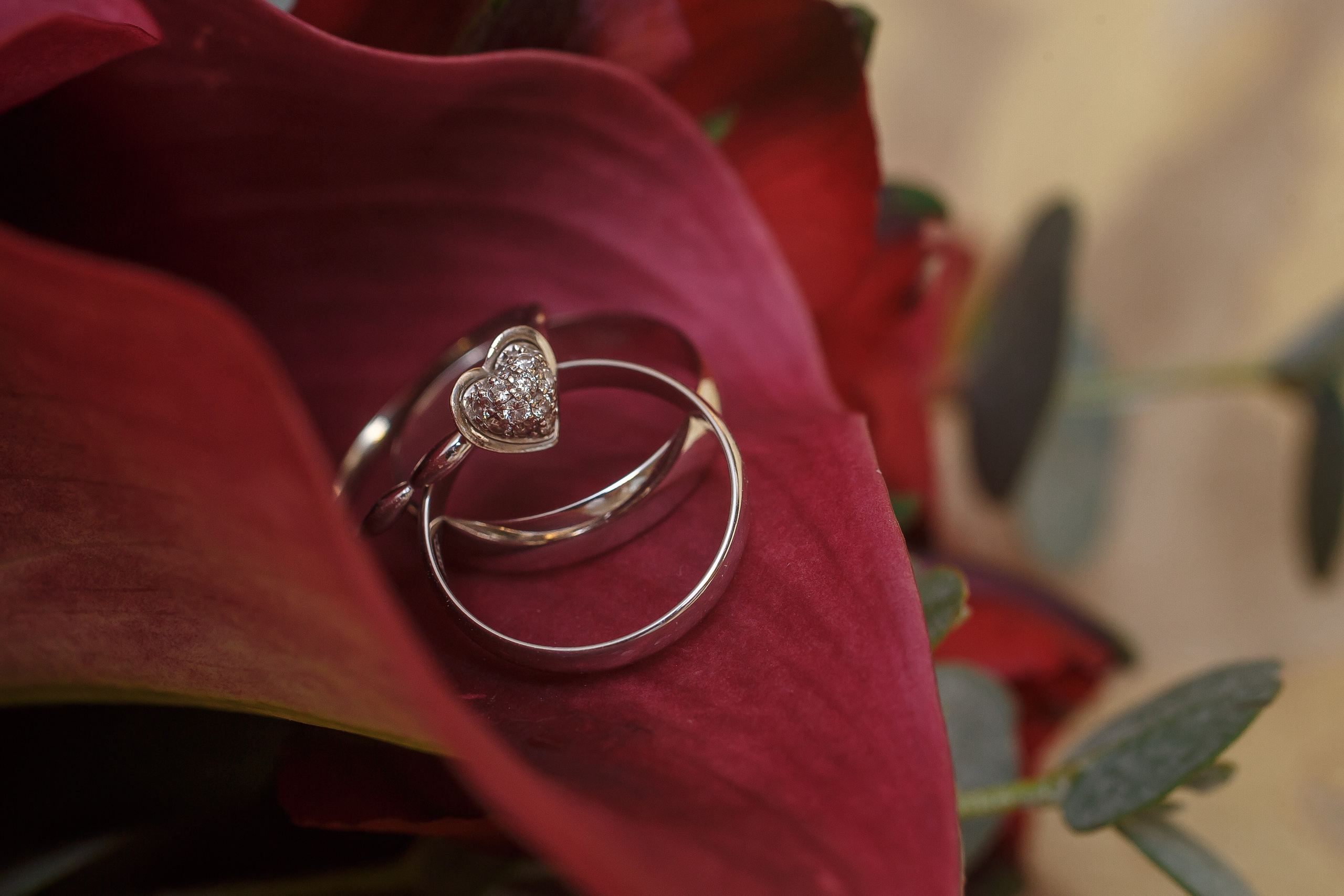 חתונה ומשפחה. יבגני פלבין. צלם. תעשייה, דיווחים, חתונות, פורטרט