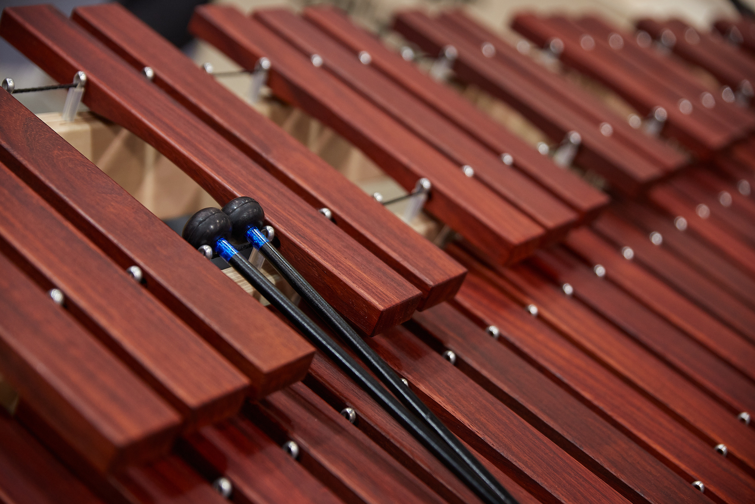 צילום אירועים. יבגני פלבין. צלם. תעשייה, דיווחים, חתונות, פורטרט