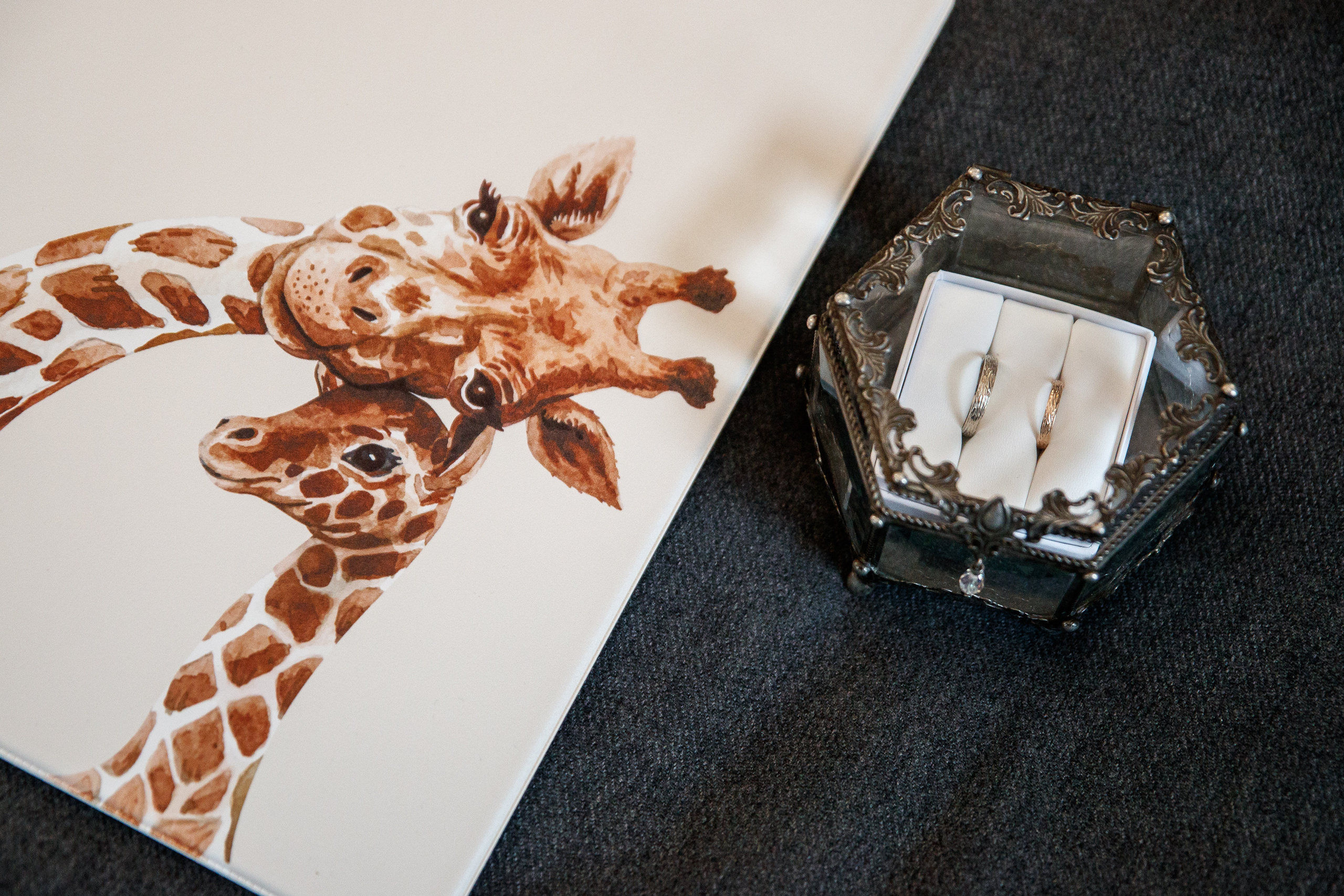 חתונה ומשפחה. יבגני פלבין. צלם. תעשייה, דיווחים, חתונות, פורטרט