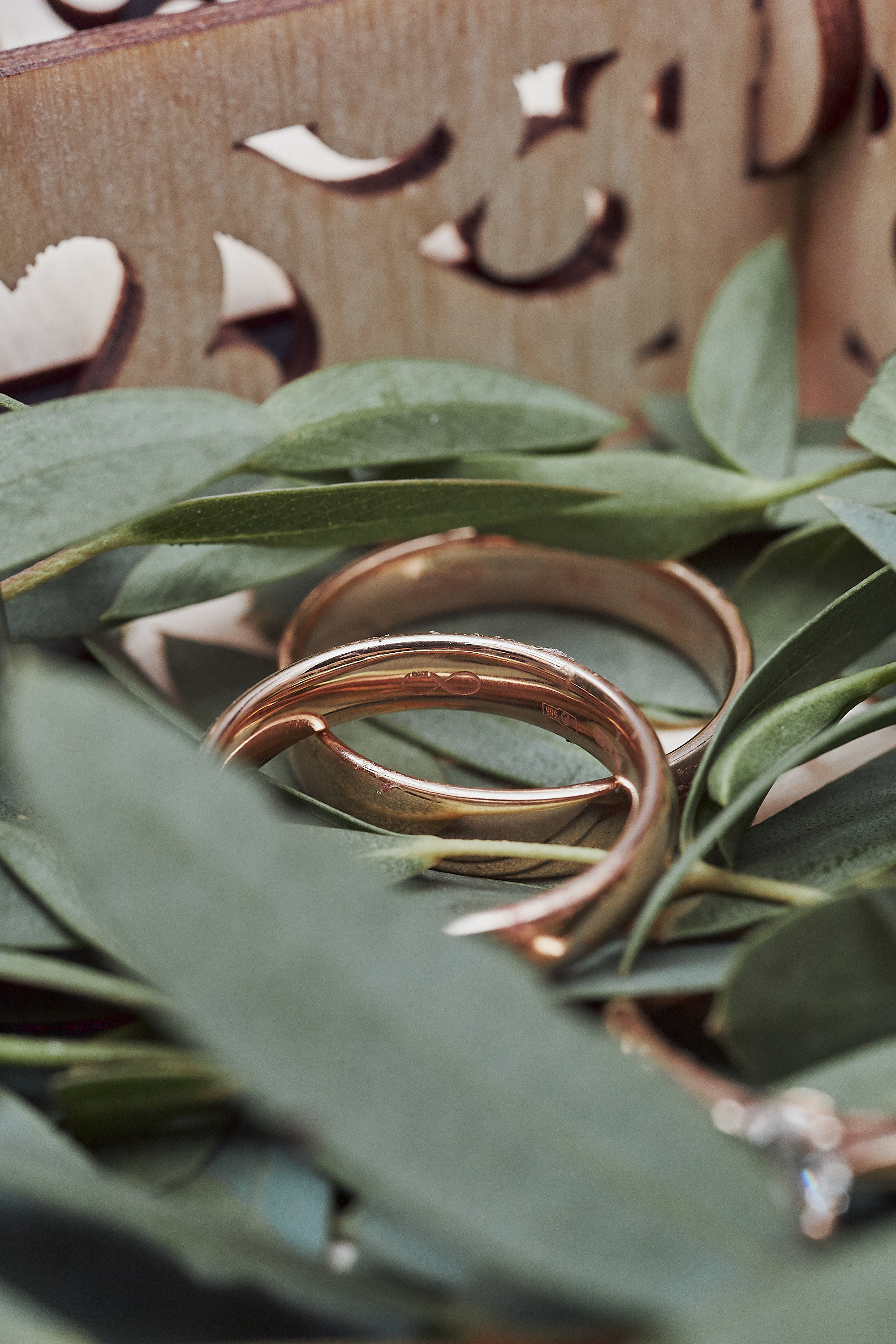 חתונה ומשפחה. יבגני פלבין. צלם. תעשייה, דיווחים, חתונות, פורטרט