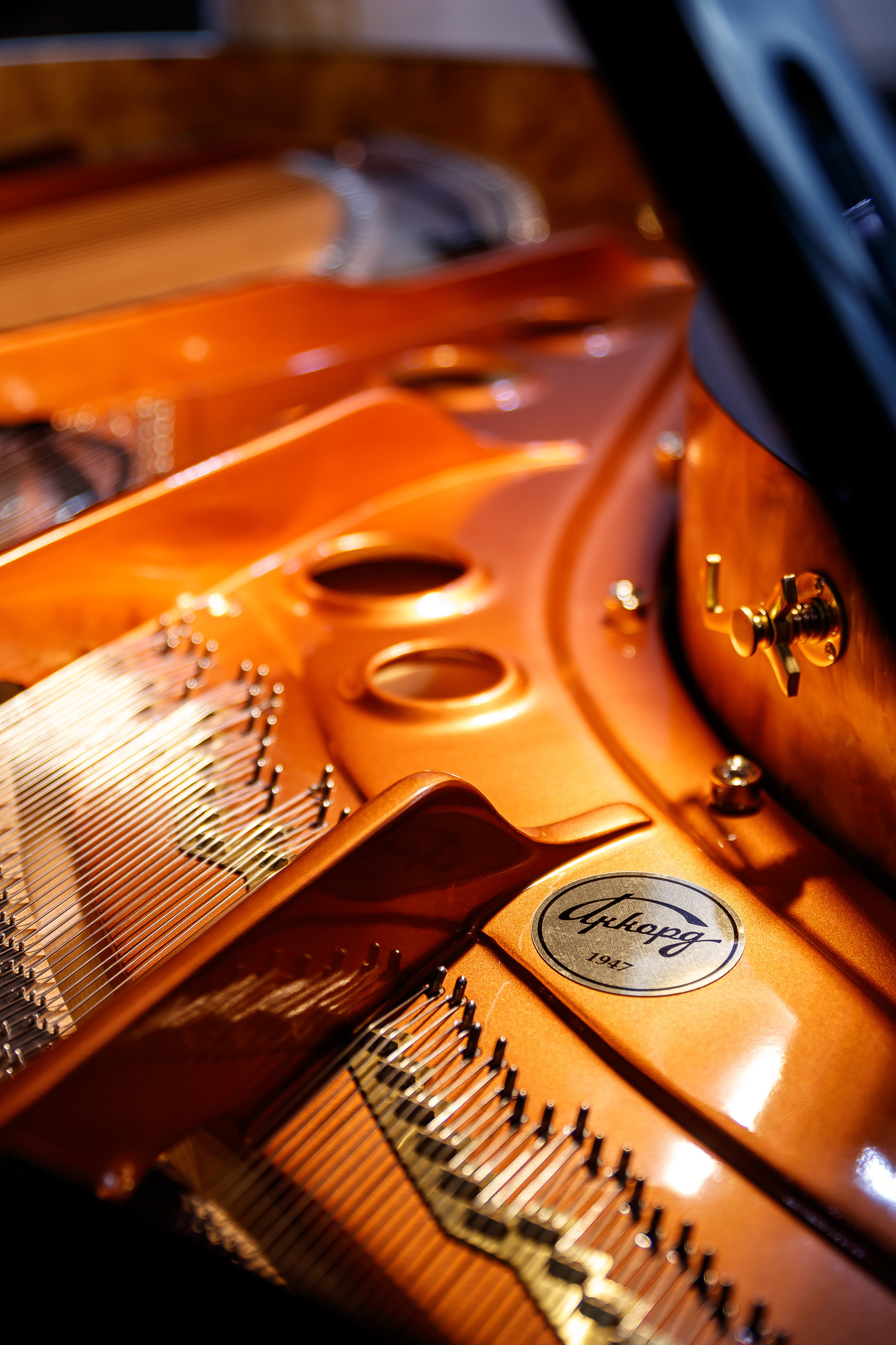 צילום אירועים. יבגני פלבין. צלם. תעשייה, דיווחים, חתונות, פורטרט