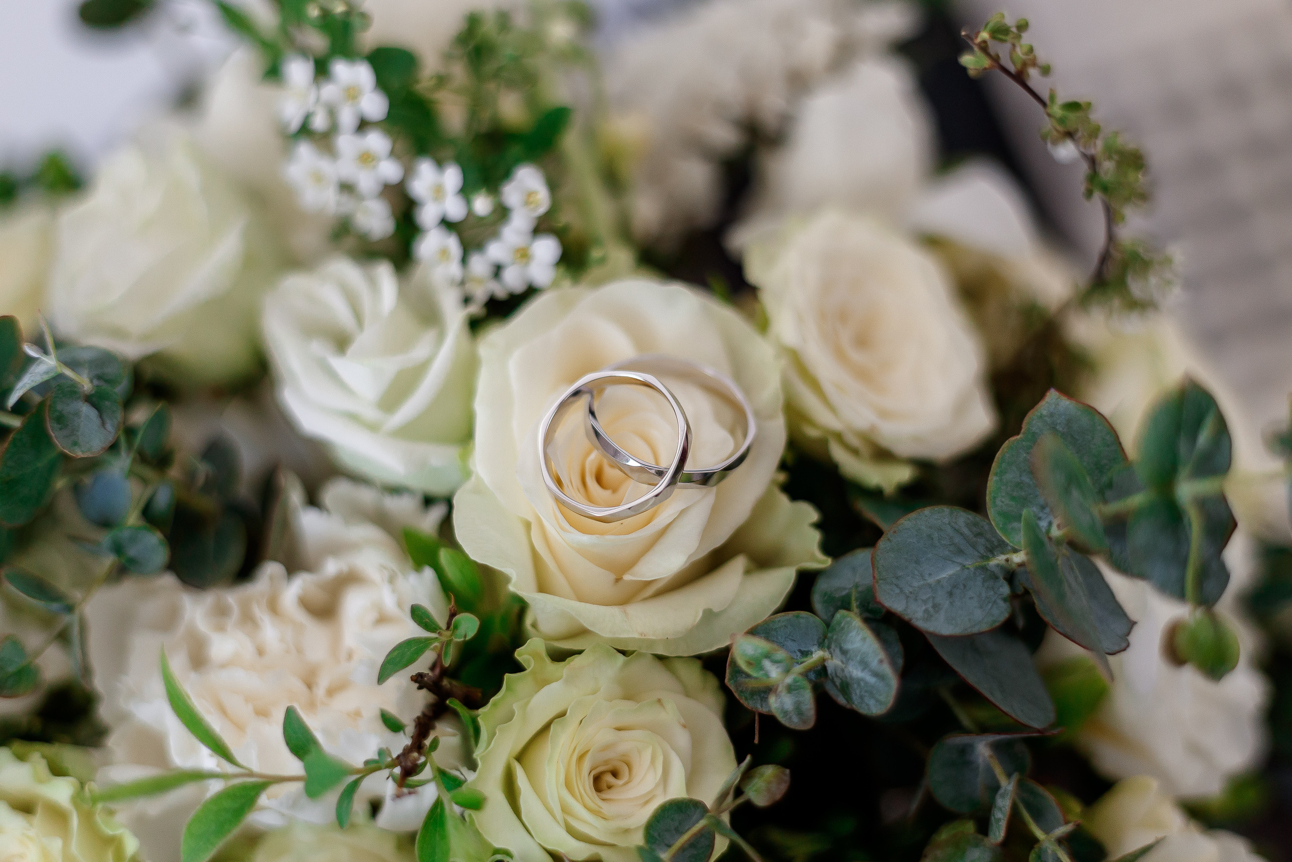 חתונה ומשפחה. יבגני פלבין. צלם. תעשייה, דיווחים, חתונות, פורטרט