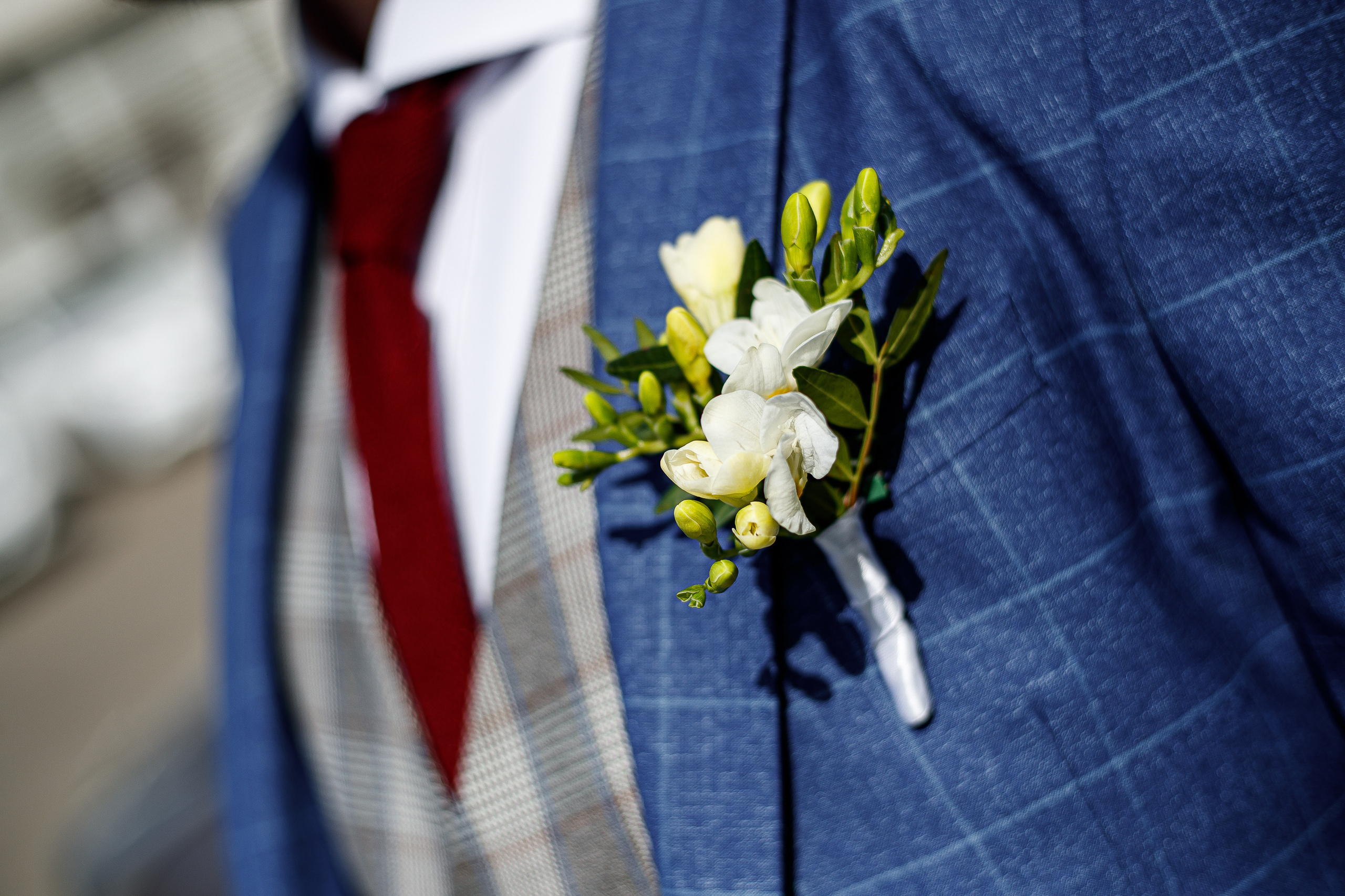 חתונה ומשפחה. יבגני פלבין. צלם. תעשייה, דיווחים, חתונות, פורטרט