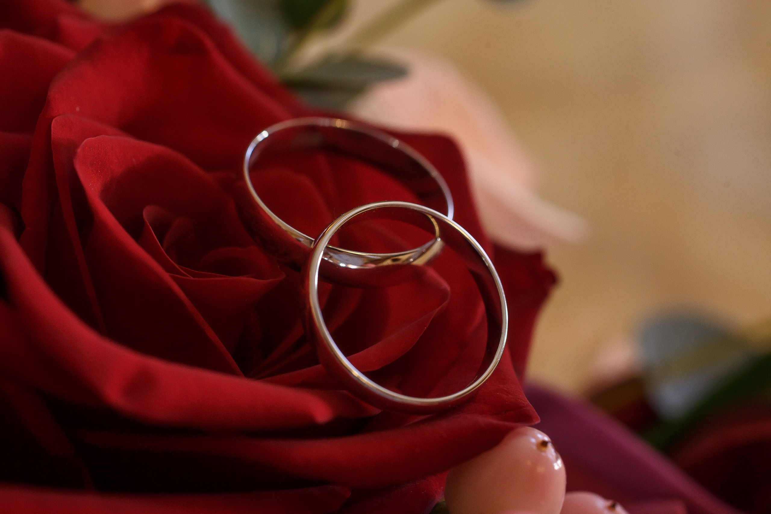 חתונה ומשפחה. יבגני פלבין. צלם. תעשייה, דיווחים, חתונות, פורטרט