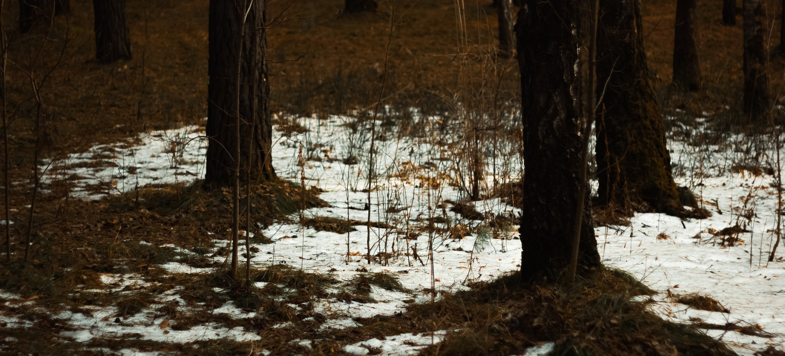 21.03.2025 | Сосновоборск. Kuznetsov | Фотограф в Красноярске