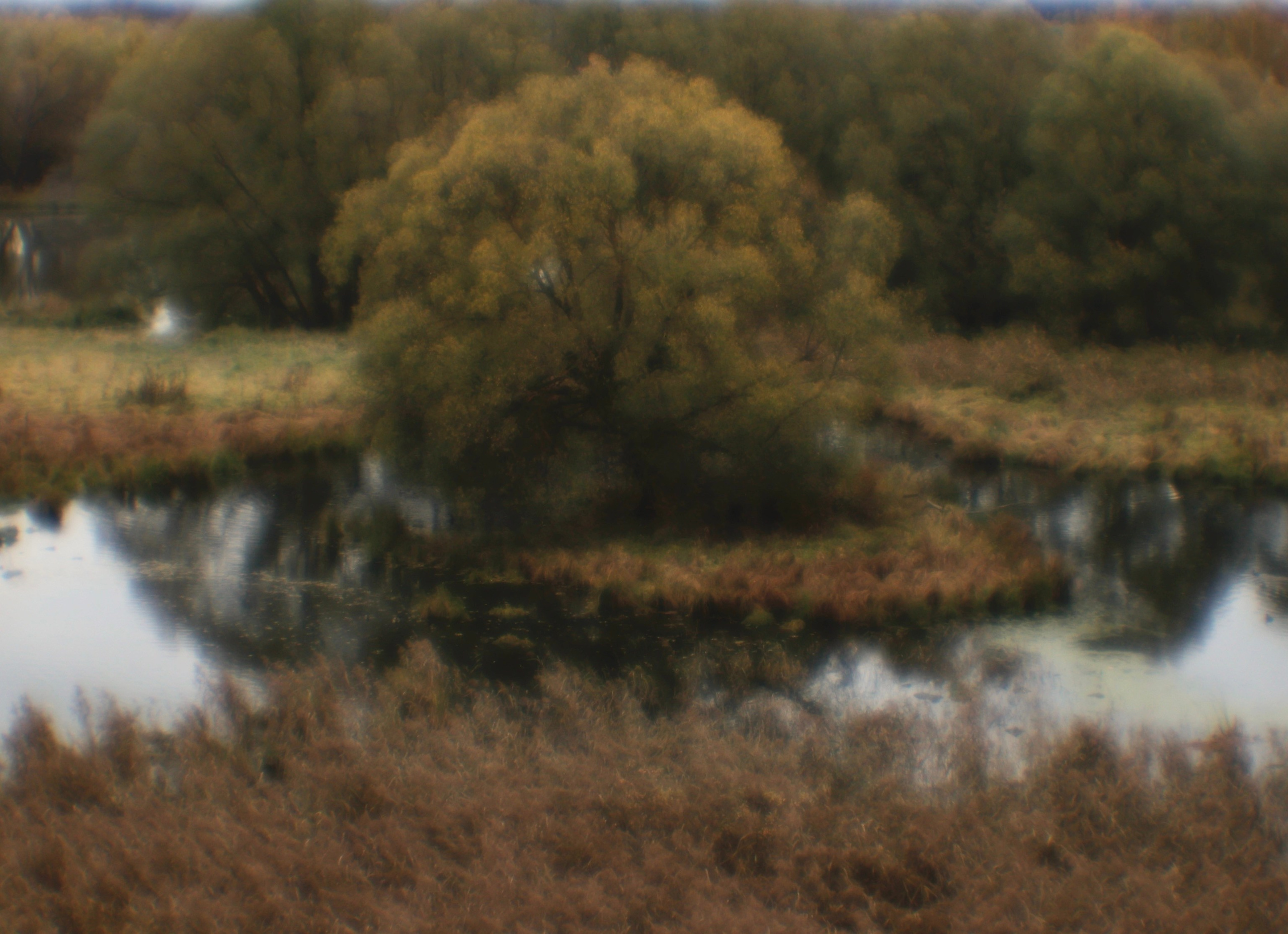 ПЕЙЗАЖИ. Профессиональный фотограф в Москве  Елена Фатьянова