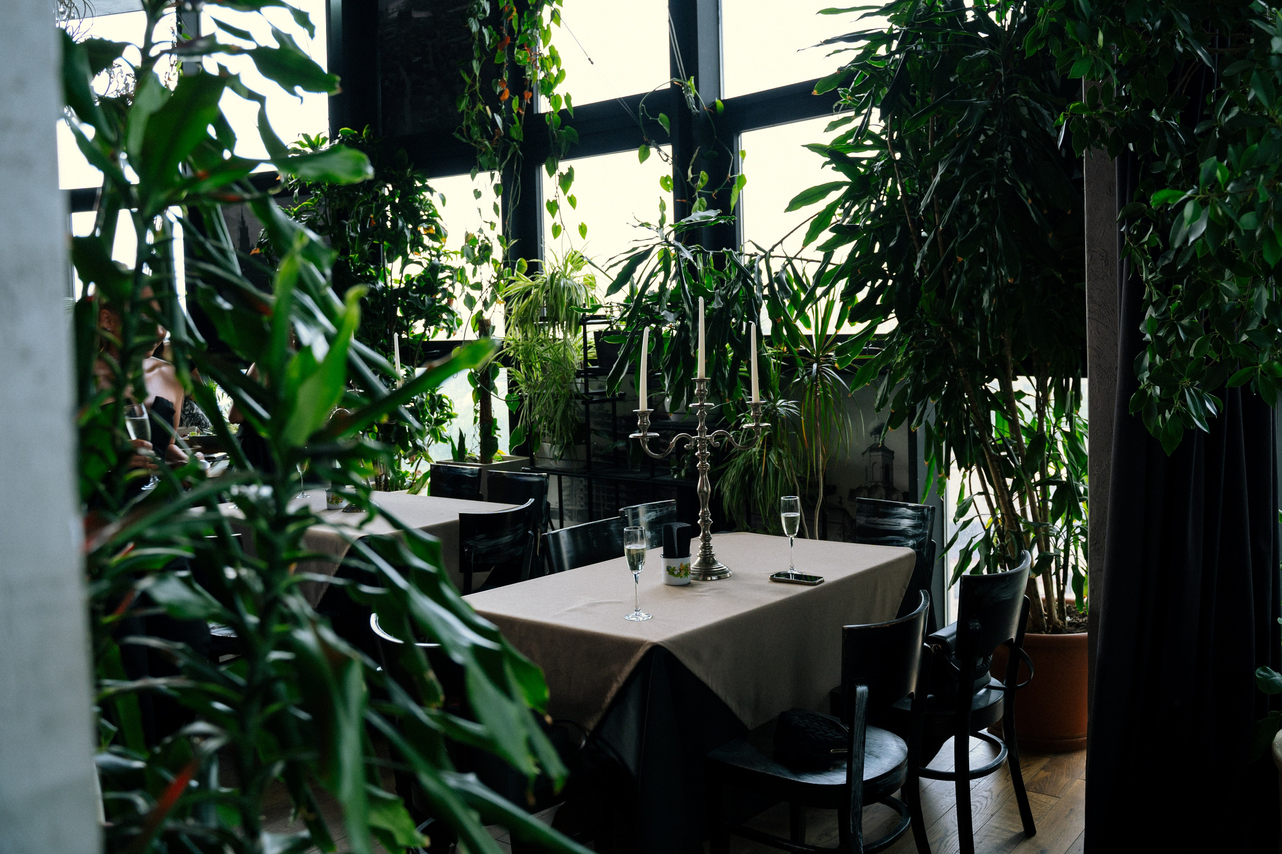 OPENCITY b-day. Анастасия Максимова, фотограф, москва