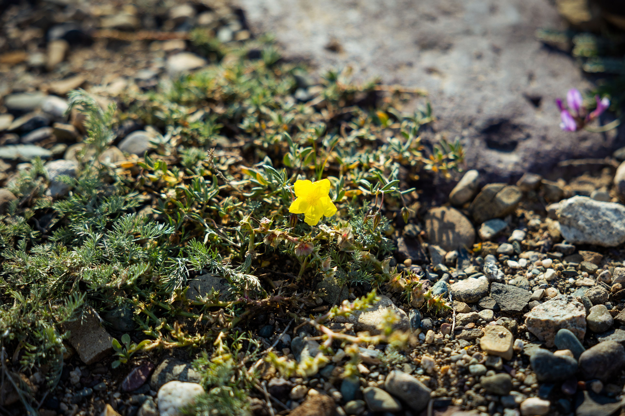 Казахстан (осень 2024). Фотограф Виноградов Константин