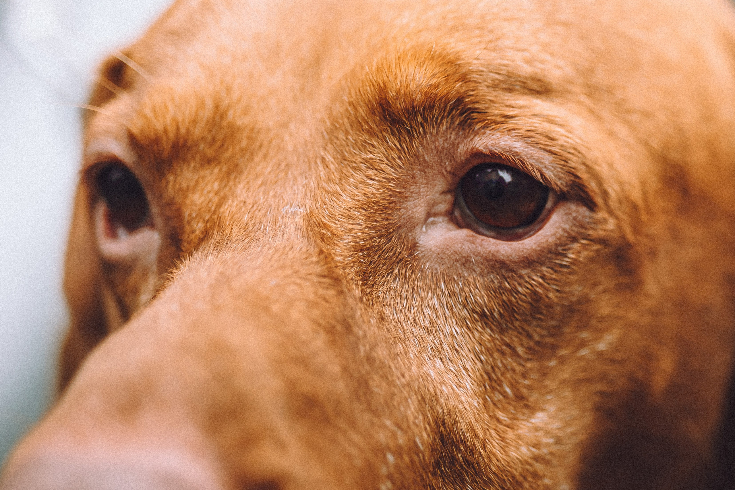 Екатерина и Даня