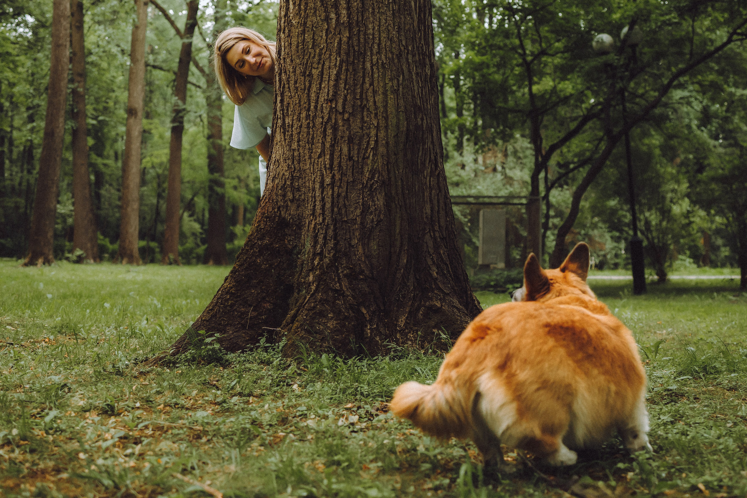 Ира, Леша и Харли