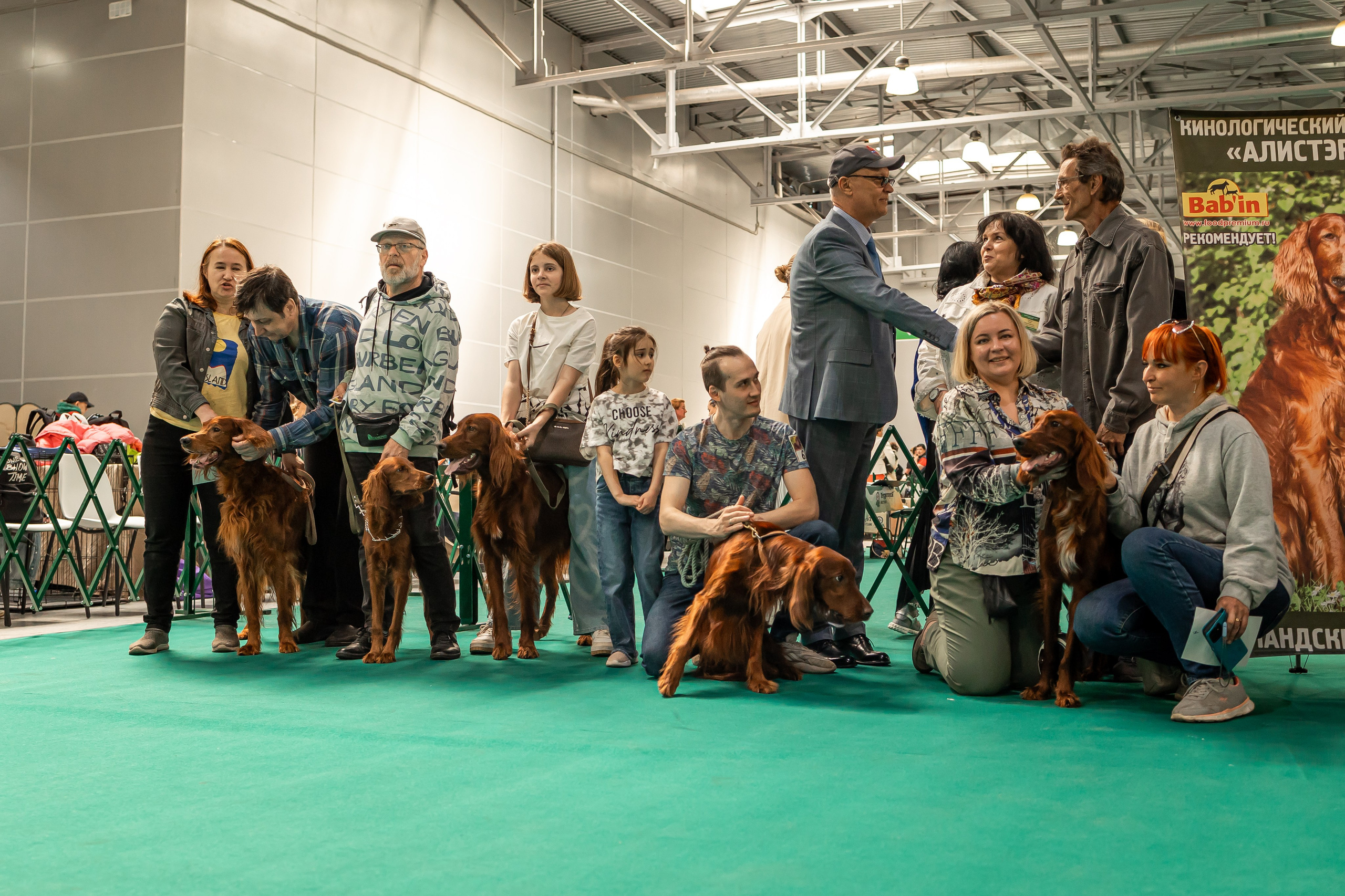Выставка сеттеров 19.05.24