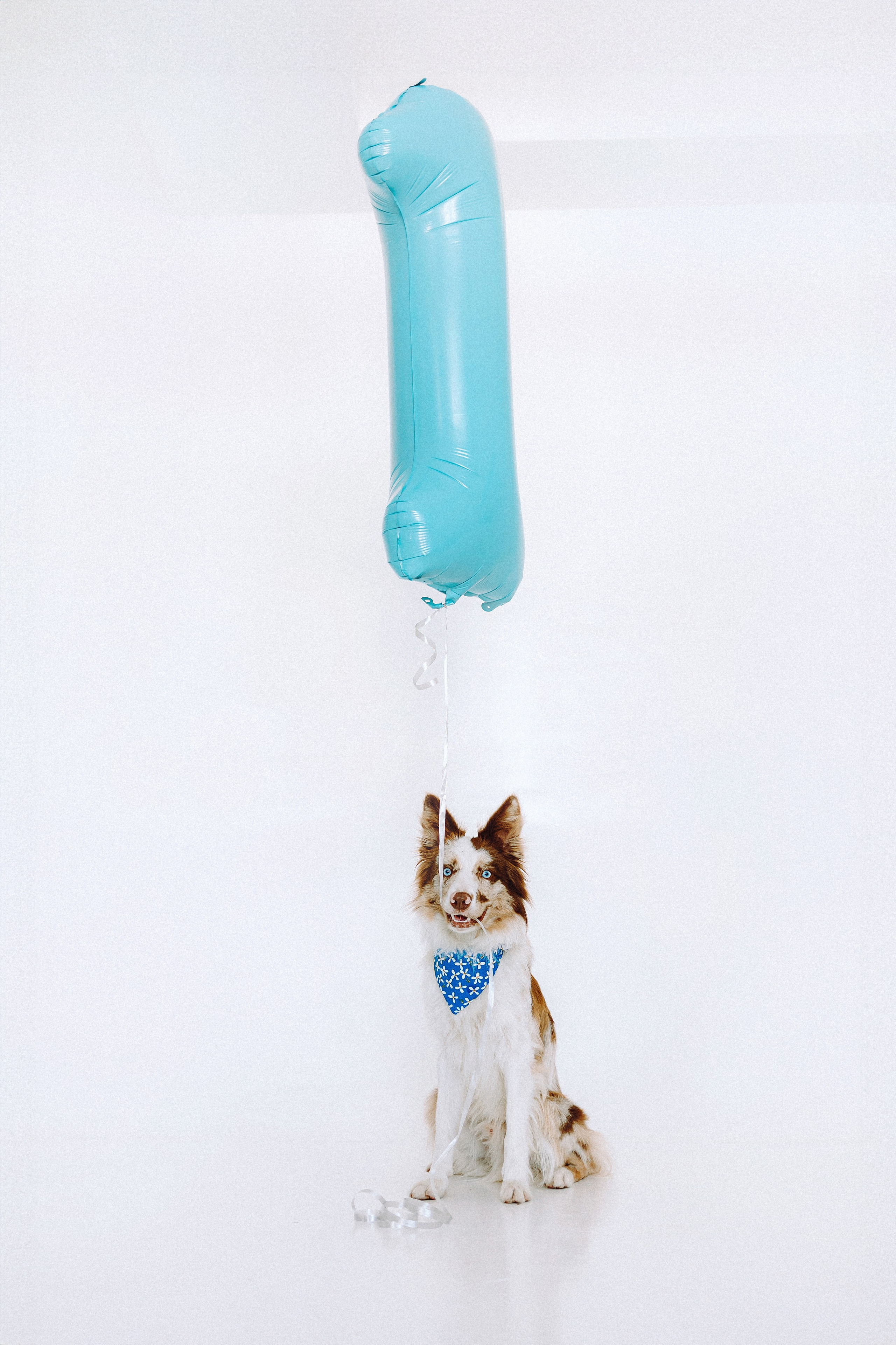 День рождения Айко