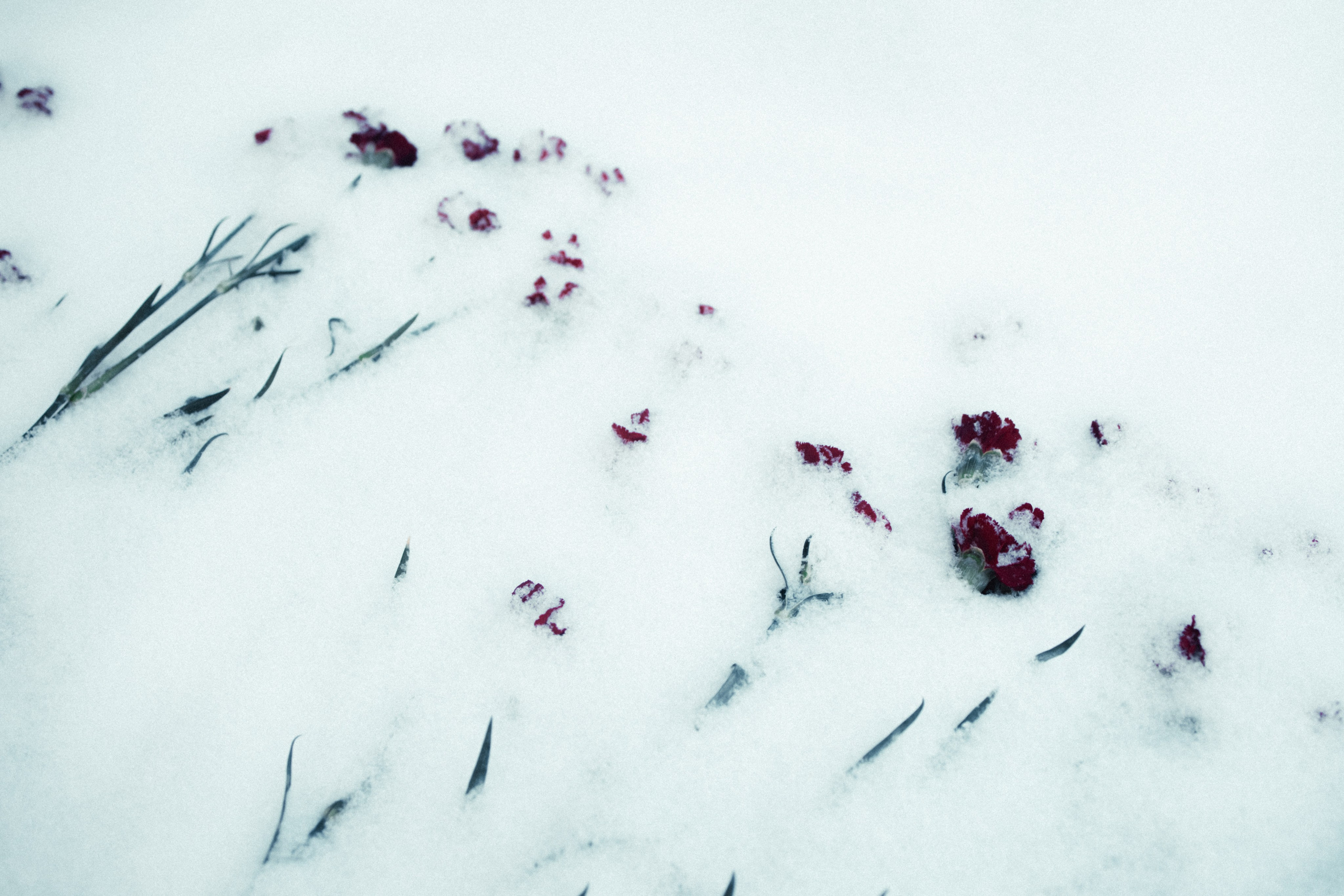 Маршрут ветеранов — электросила. Анна Мильч