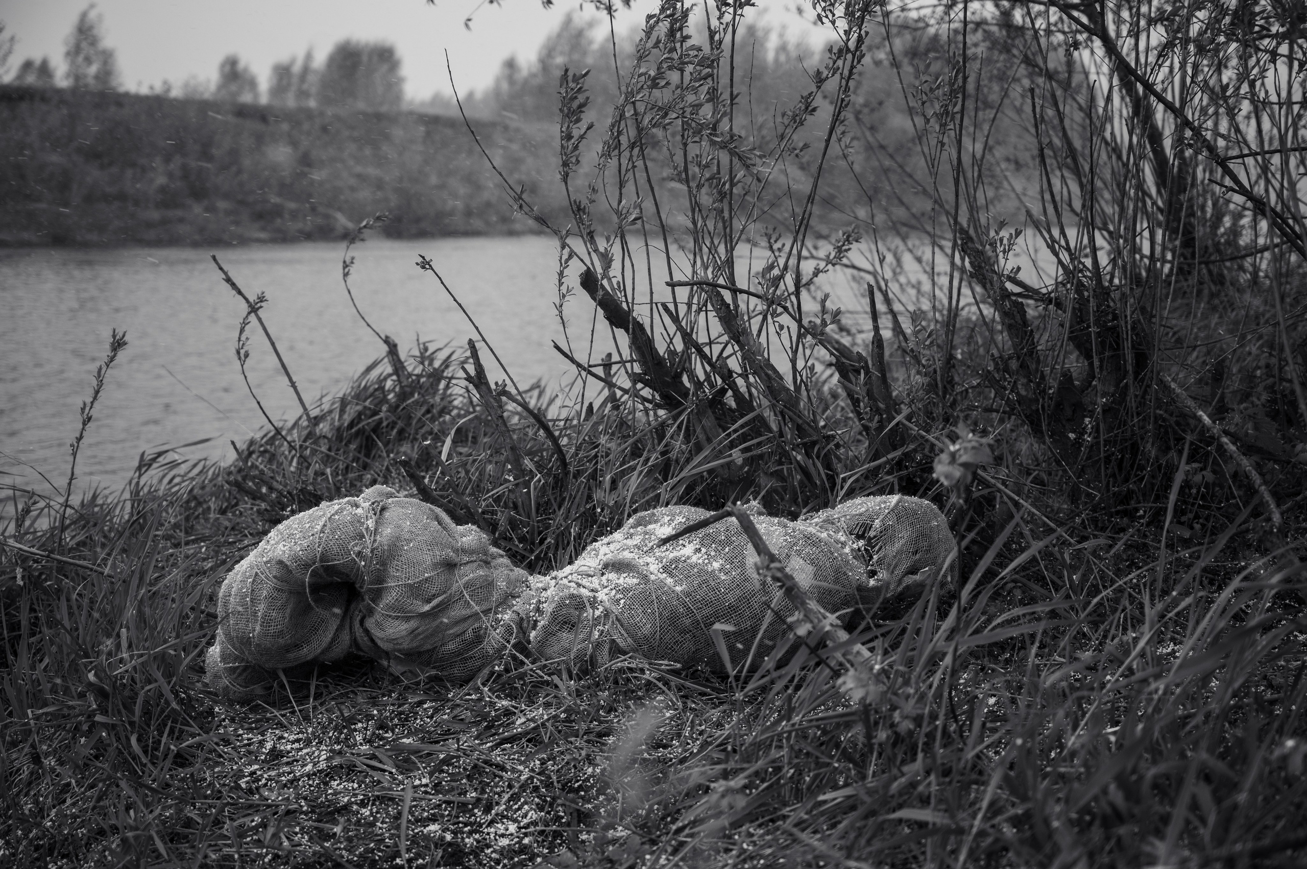 Речка. Фотограф Мария