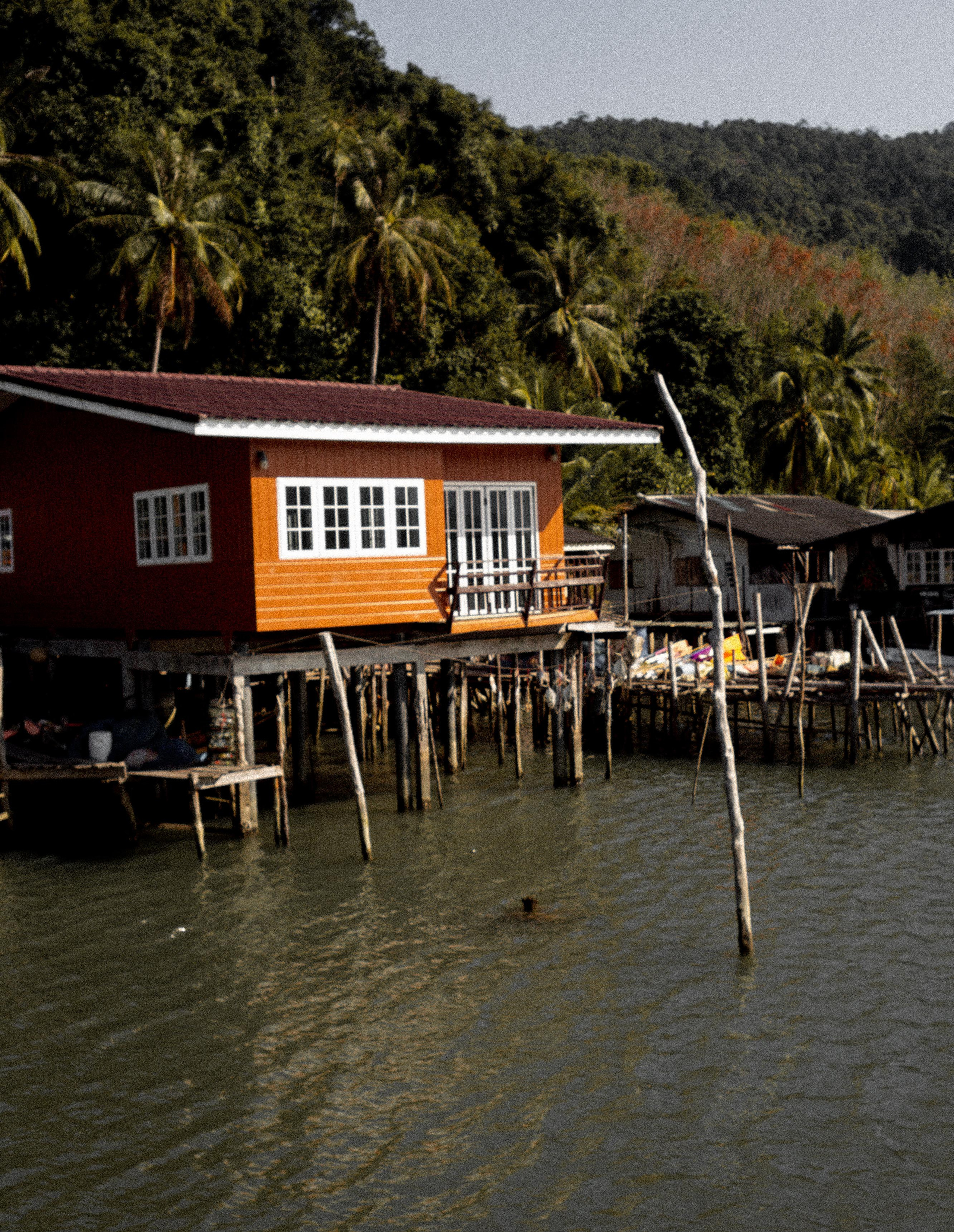 Art portfolio. AleSeeva