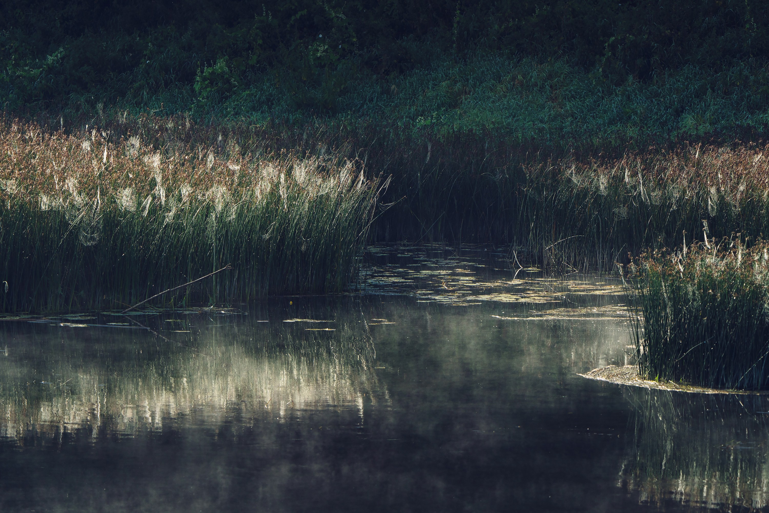 Фотографии Национальный парк Угра. Фотограф спортивные события, недвижимость, турбизнес