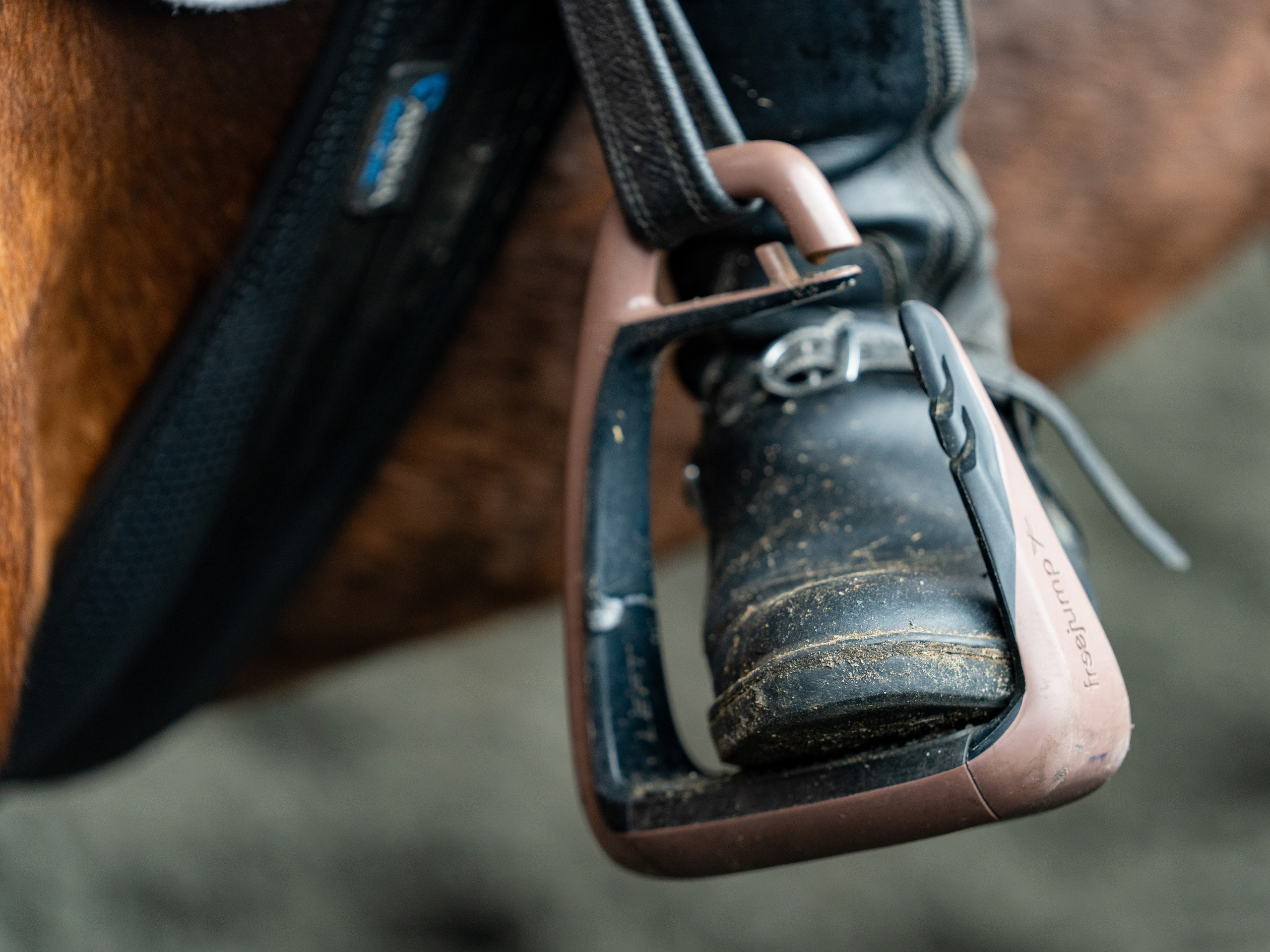 MICE мероприятие на ферме Экзархо. Репортажный фотограф в Красной Поляне и Сочи Павлюченко Екатерина