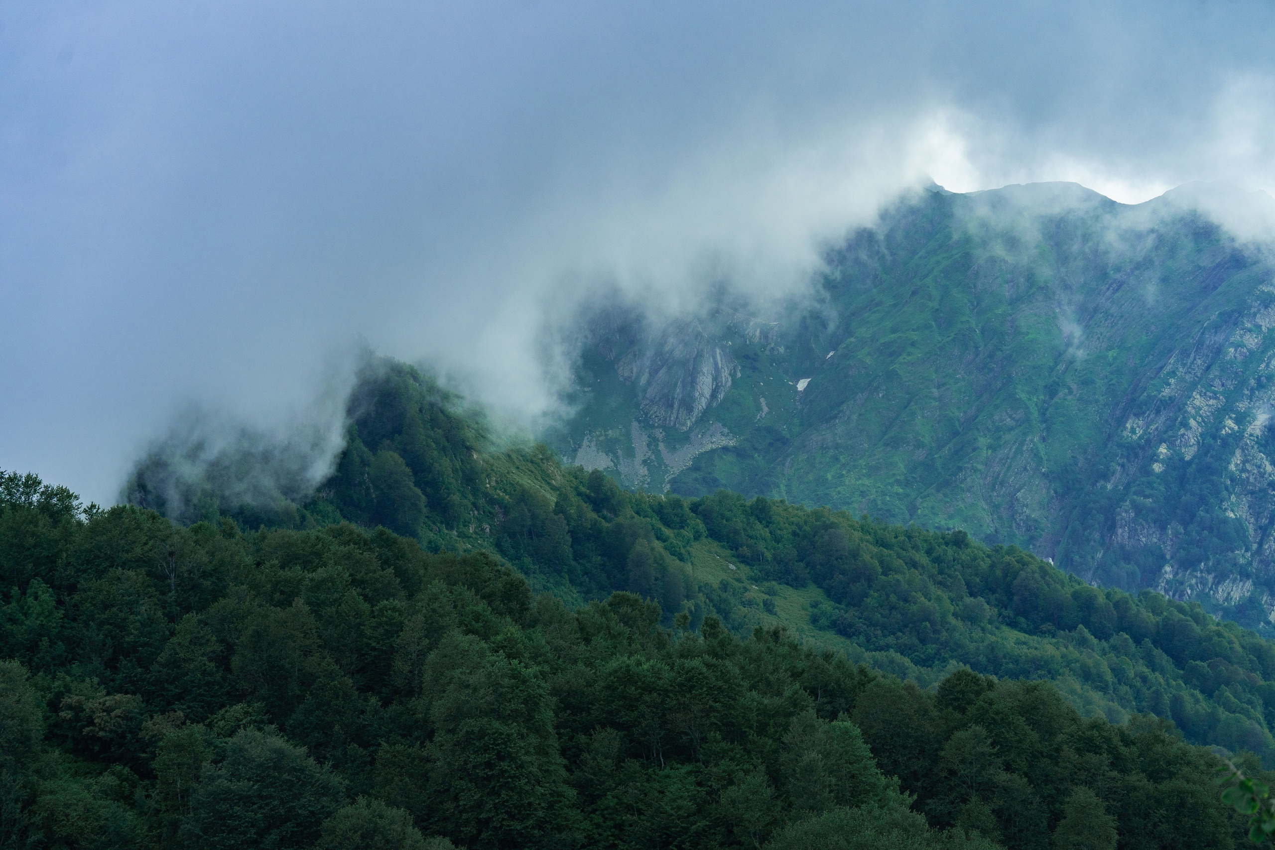 Психологический тренинг на озере Зеркальное. Репортажный фотограф в Красной Поляне и Сочи Павлюченко Екатерина