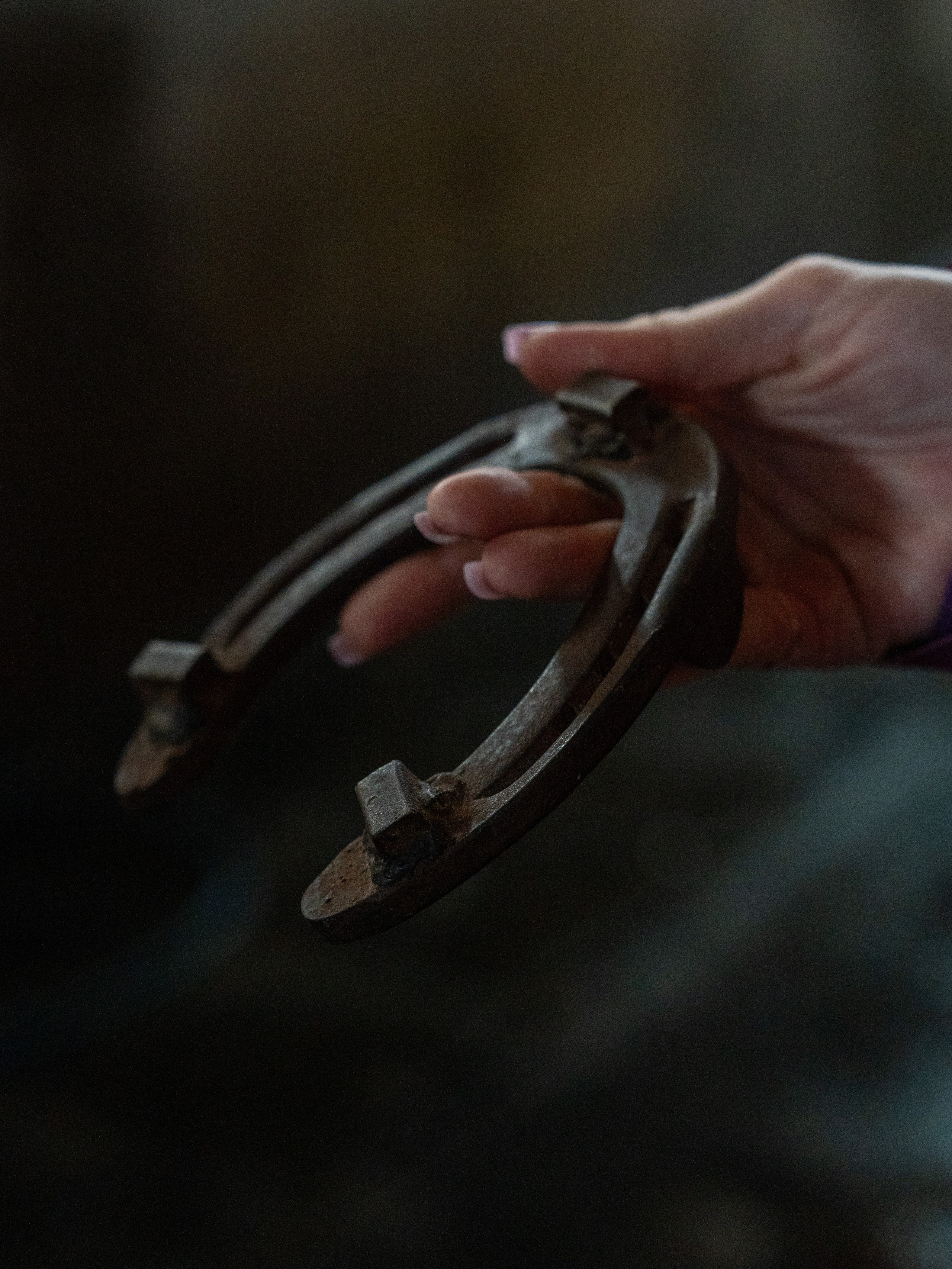 MICE мероприятие на ферме Экзархо. Репортажный фотограф в Красной Поляне и Сочи Павлюченко Екатерина