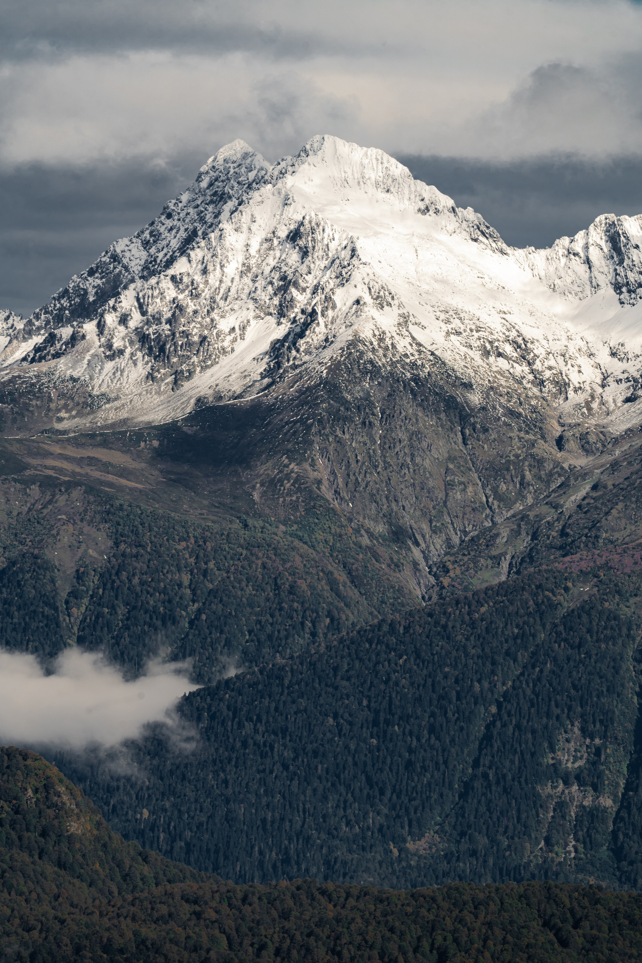 Трейловый бег «Альпиндустрия. Три курорта''. Репортажный фотограф в Красной Поляне и Сочи Павлюченко Екатерина