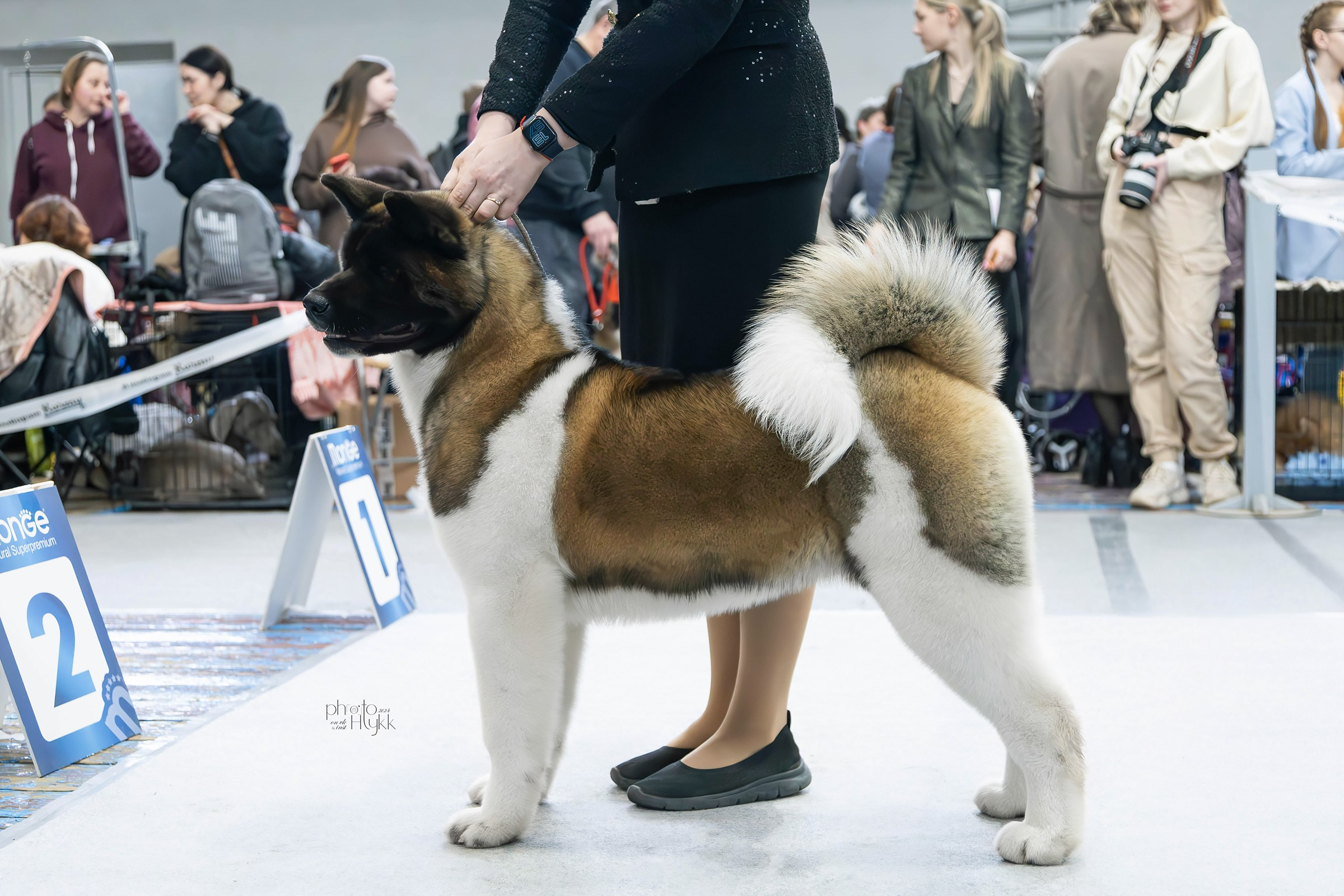 7 апреля 2024, Выставка РКФ, г. Пермь. Htykk_photo